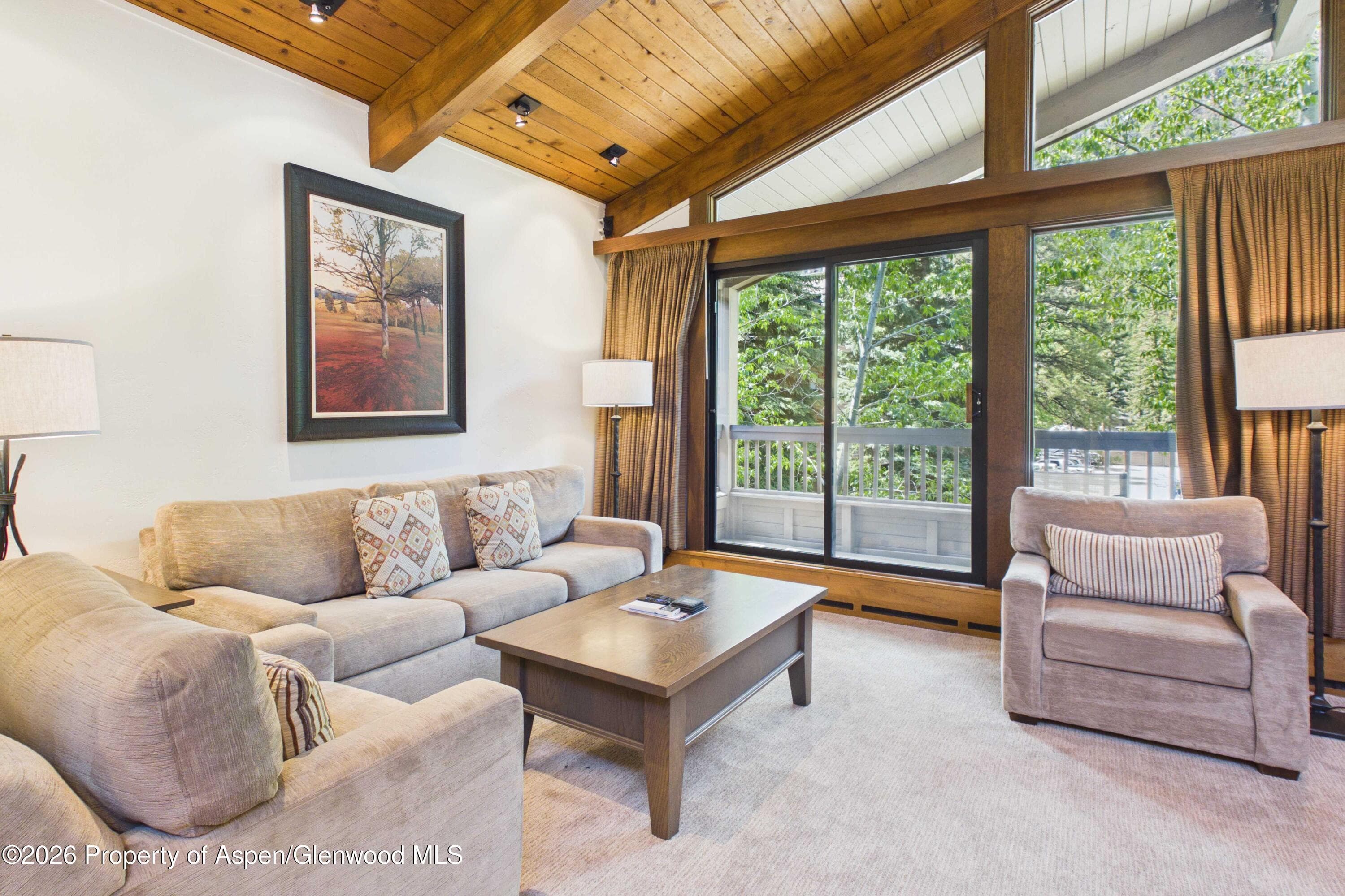 610 S West End Street D304, Aspen, CO 81611 - Photo 1