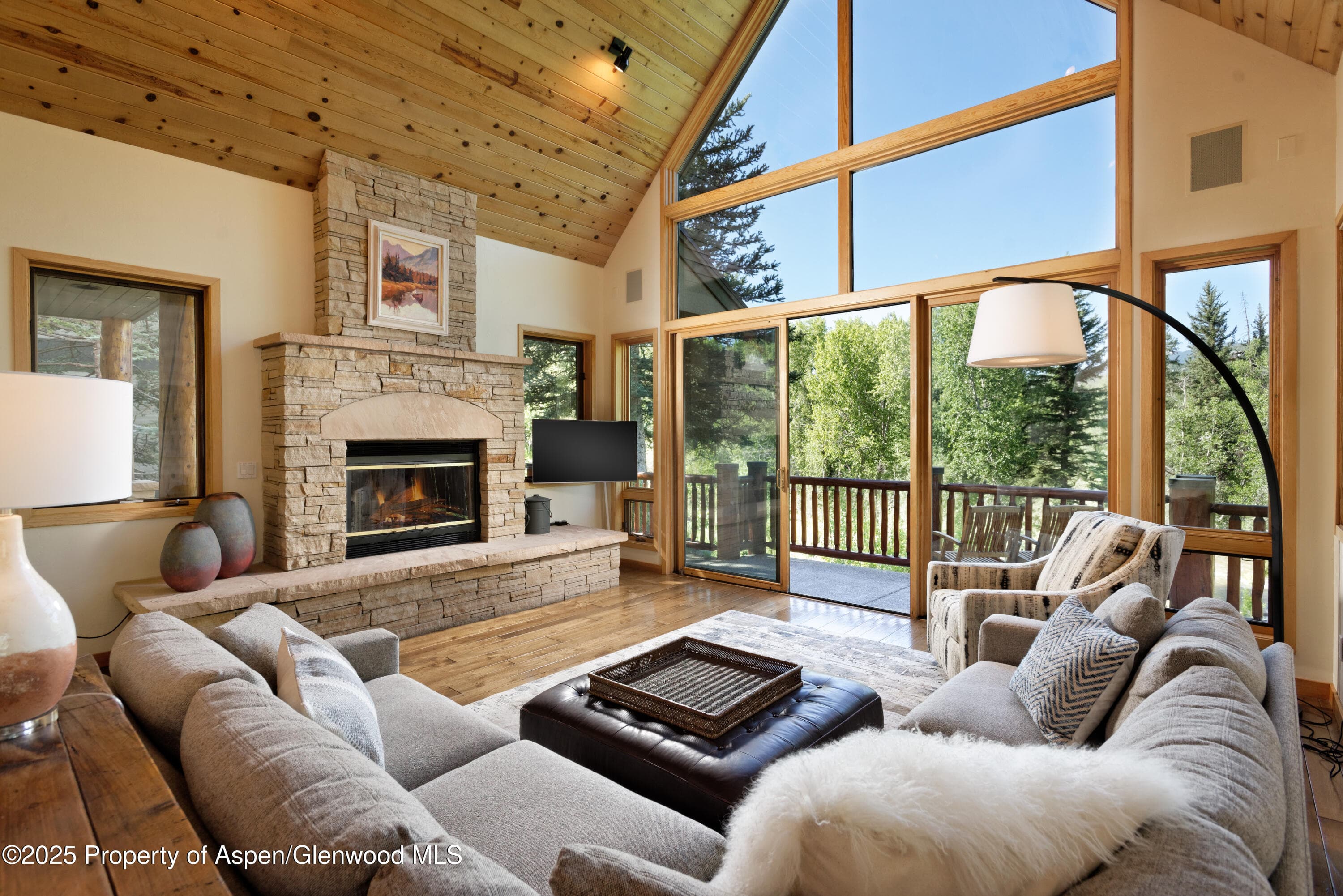 106 N Little Texas Lane, Woody Creek, CO 81656 - Photo 1