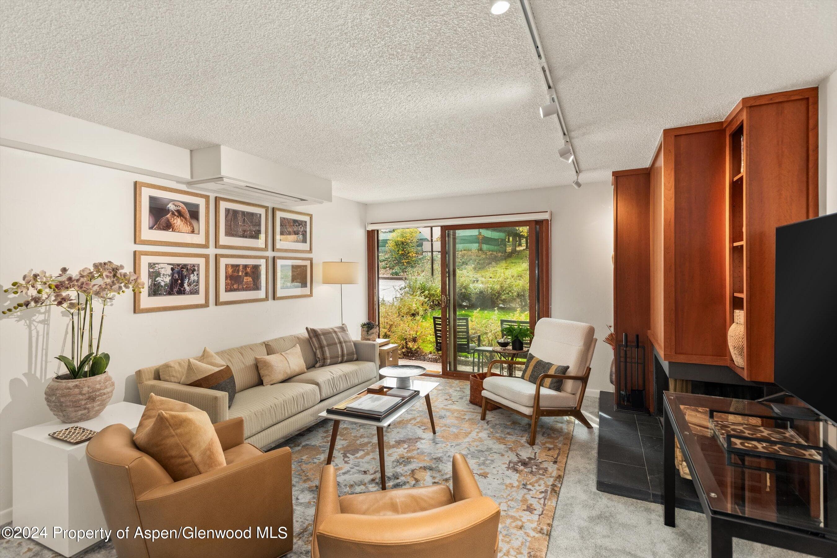 205 E Durant Avenue 1-C, Aspen, CO 81611 - Photo 1