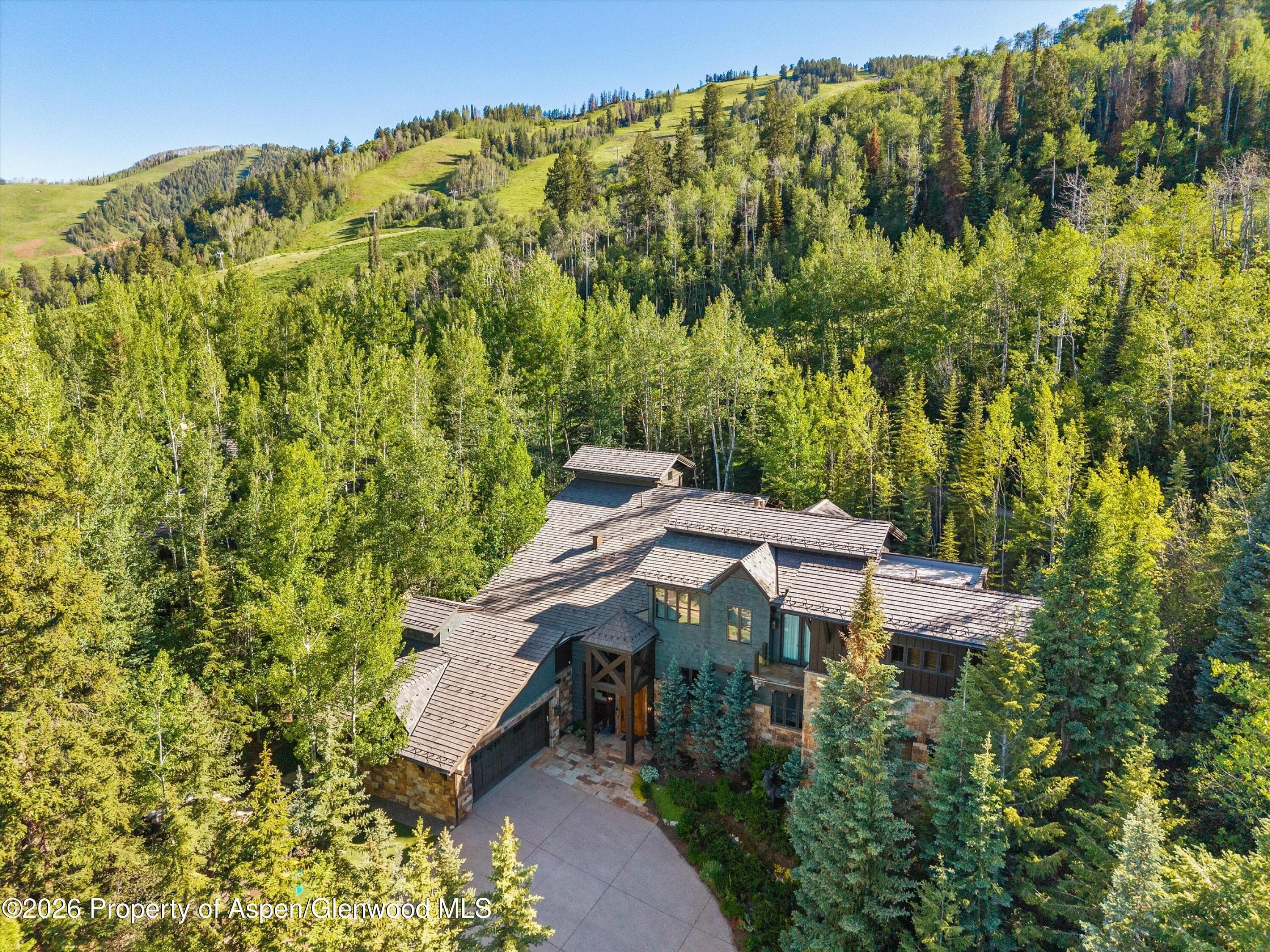 386 Pfister Drive, Aspen, CO 81611 - Photo 1