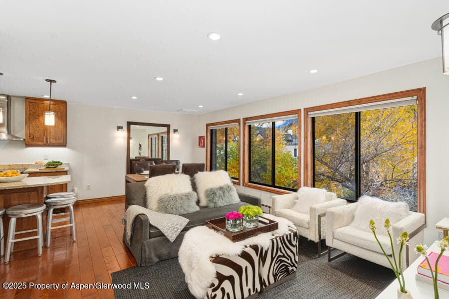 725 E Main Street 309, Aspen, CO 81611 - Photo 1