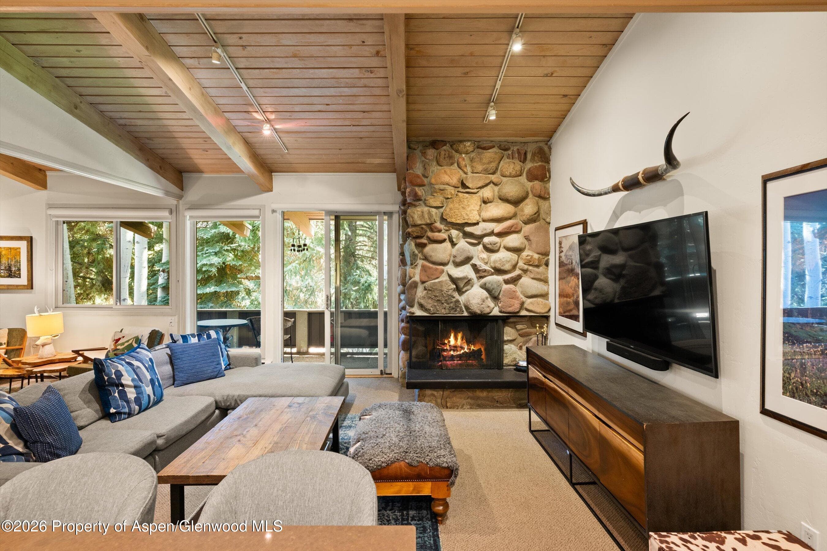 700 Ute Avenue 213, Aspen, CO 81611 - Photo 1