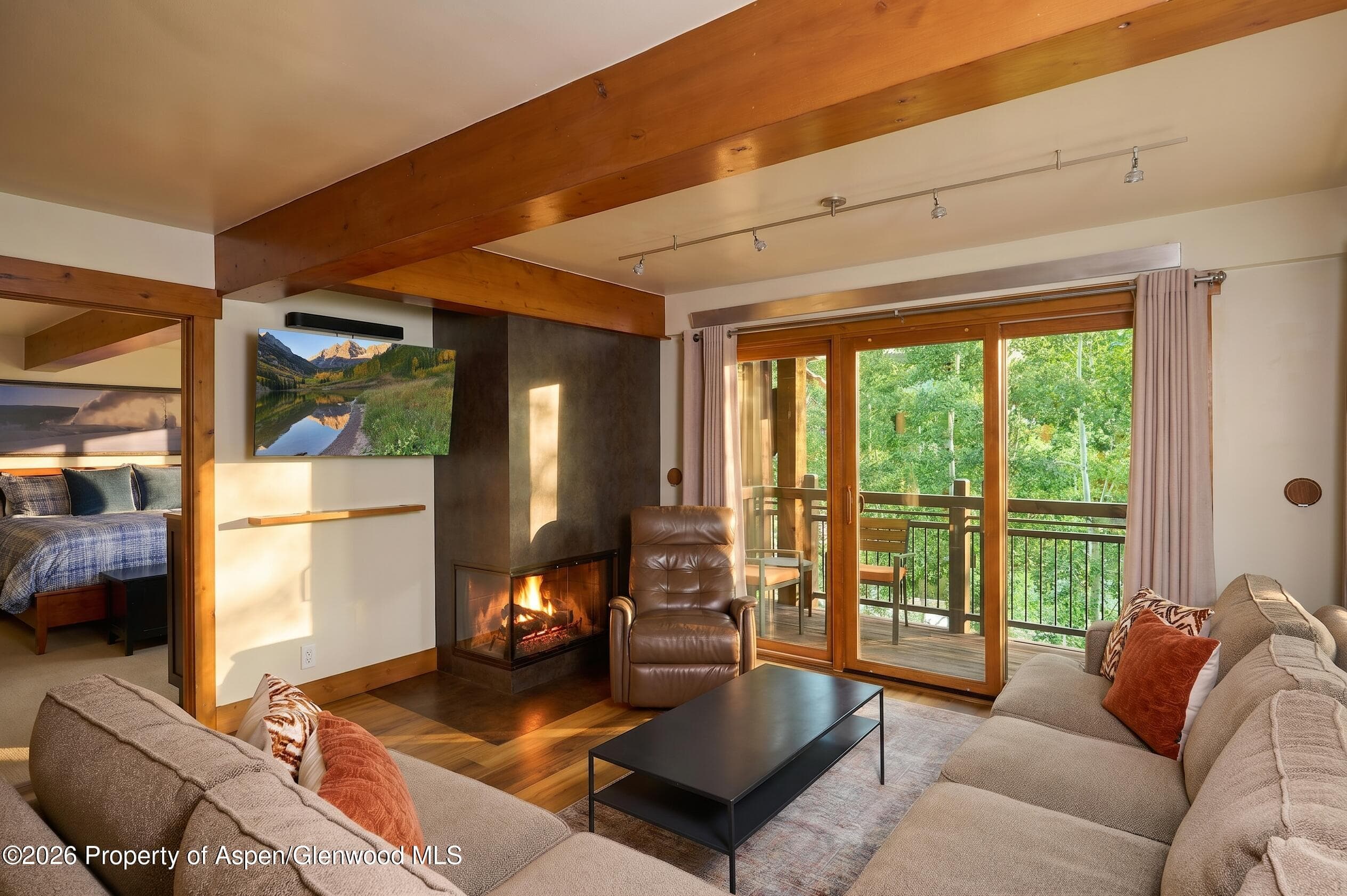 131 E Durant Avenue 410, Aspen, CO 81611 - Photo 1