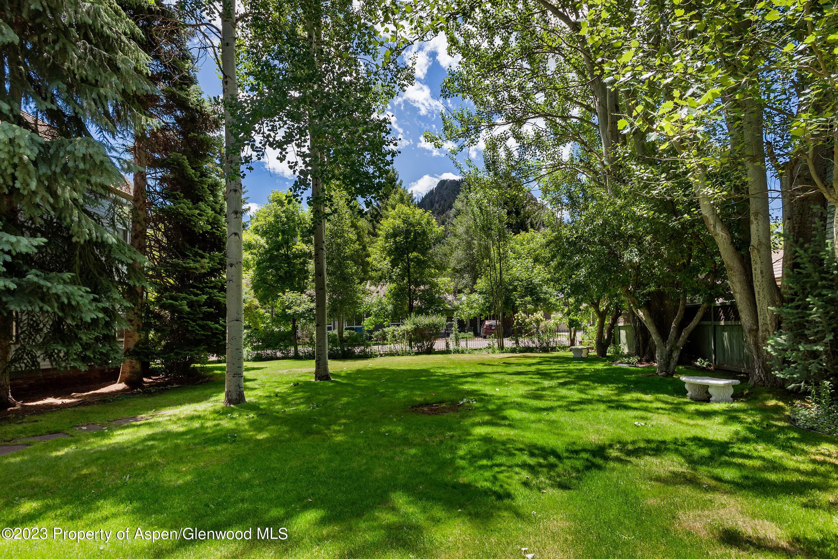 Tbd W Francis Aka 500 W Francis Street, Aspen, CO 81611 - Photo 1