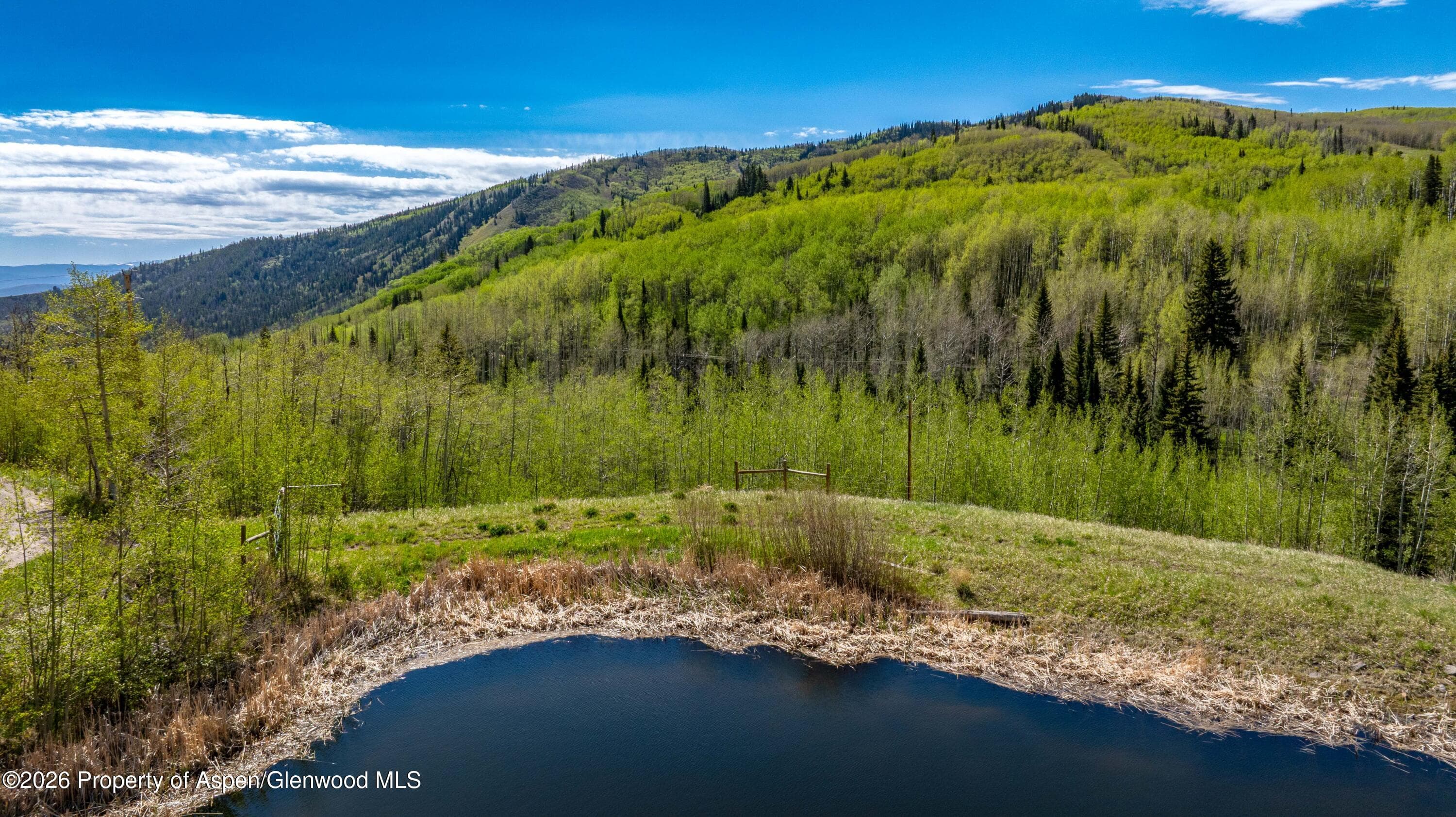 Tbd Forest Service Road 300 Pond, Glenwood Springs, CO 81601 - Photo 1