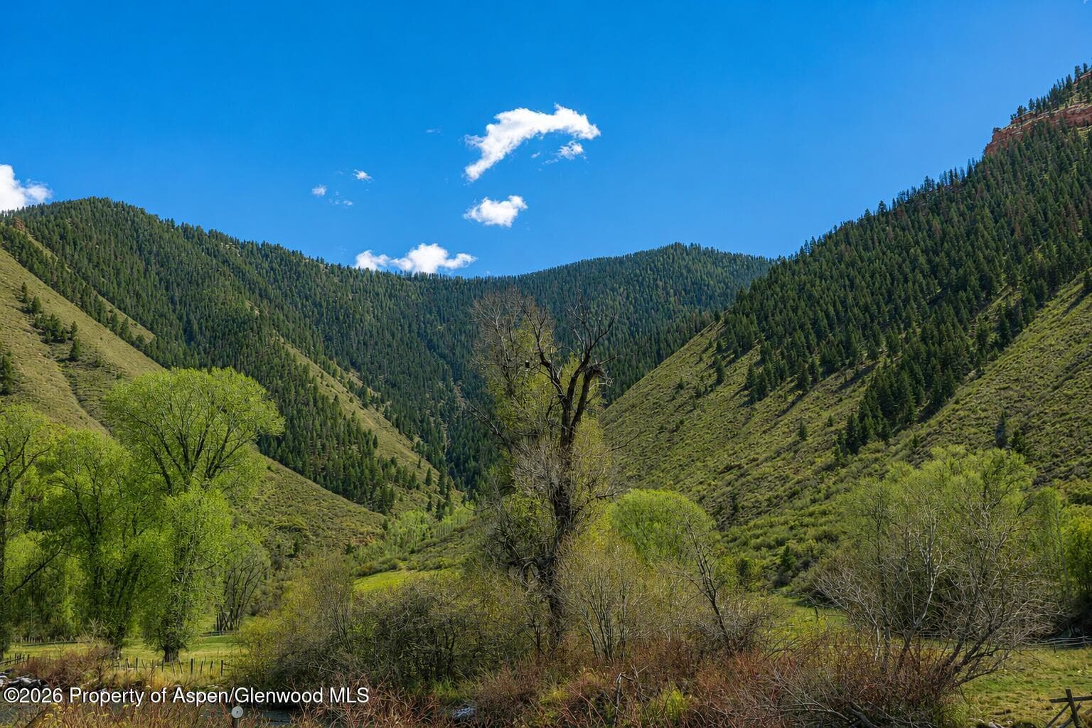 123 Wapiti Way, Basalt, CO 81621 - Photo 1