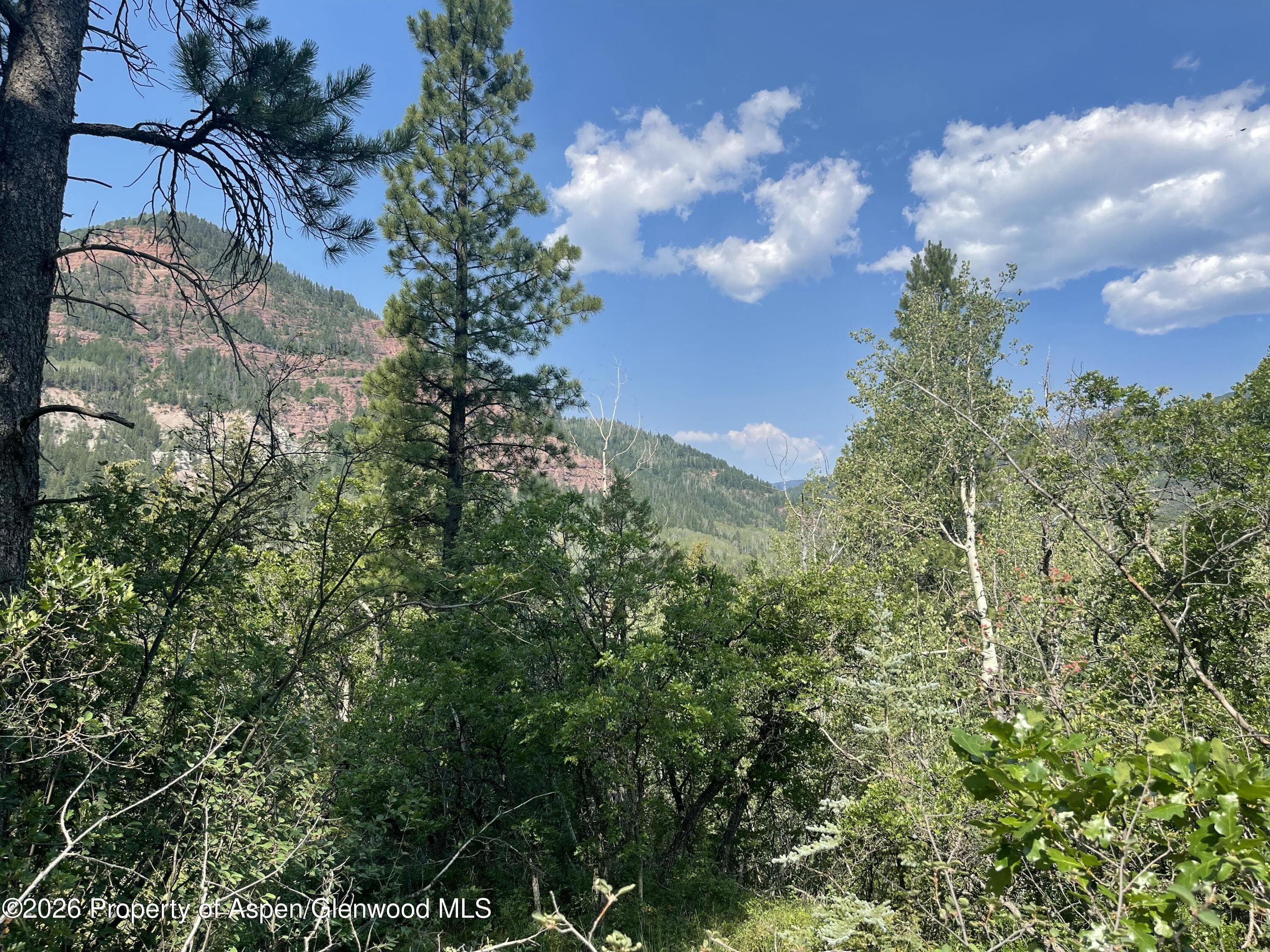 315 Fire House Road, Redstone, CO 81623 - Photo 1