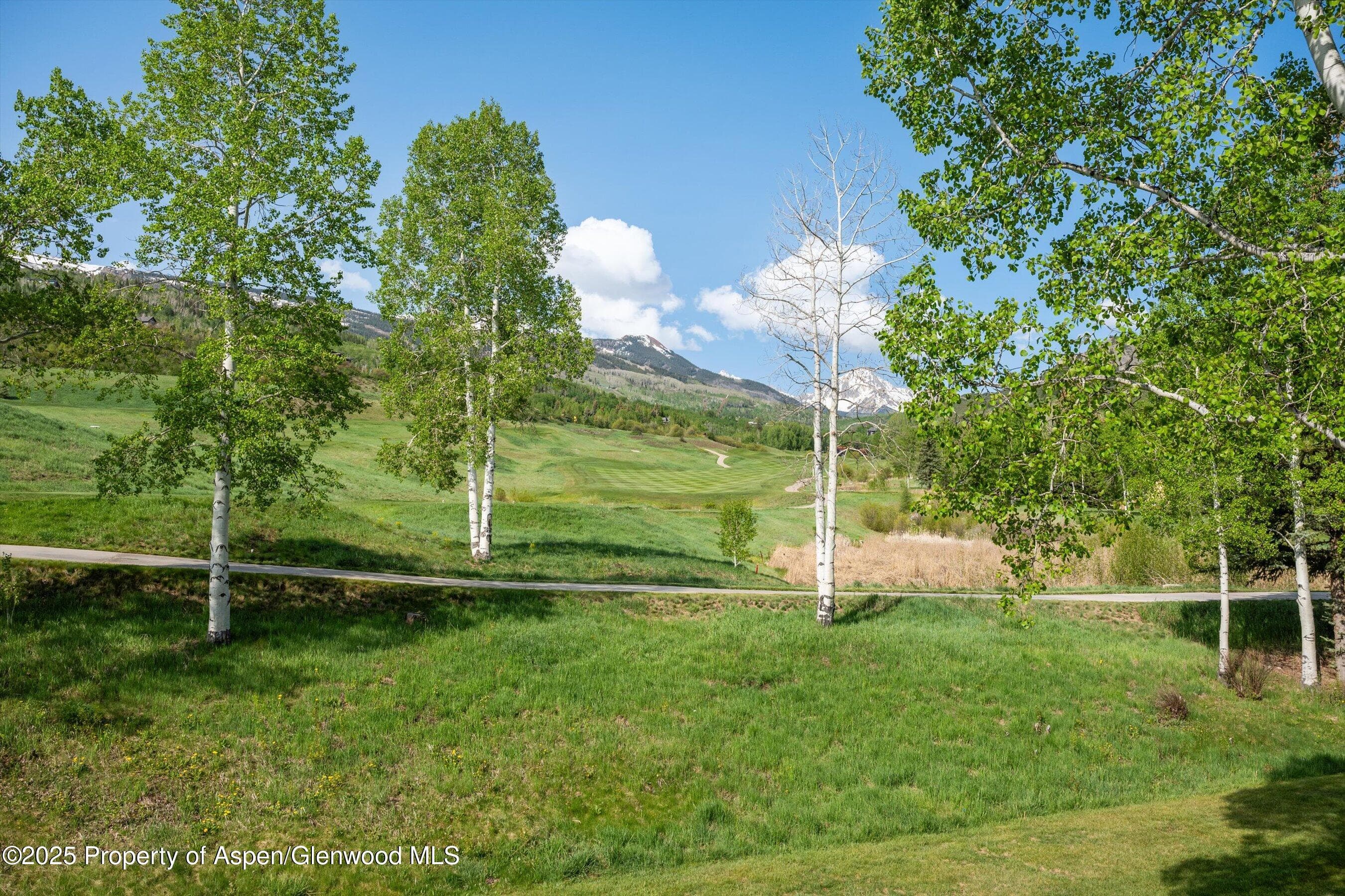 294 Snowmass Club Circle 1205, Snowmass Village, CO 81615 - Photo 1