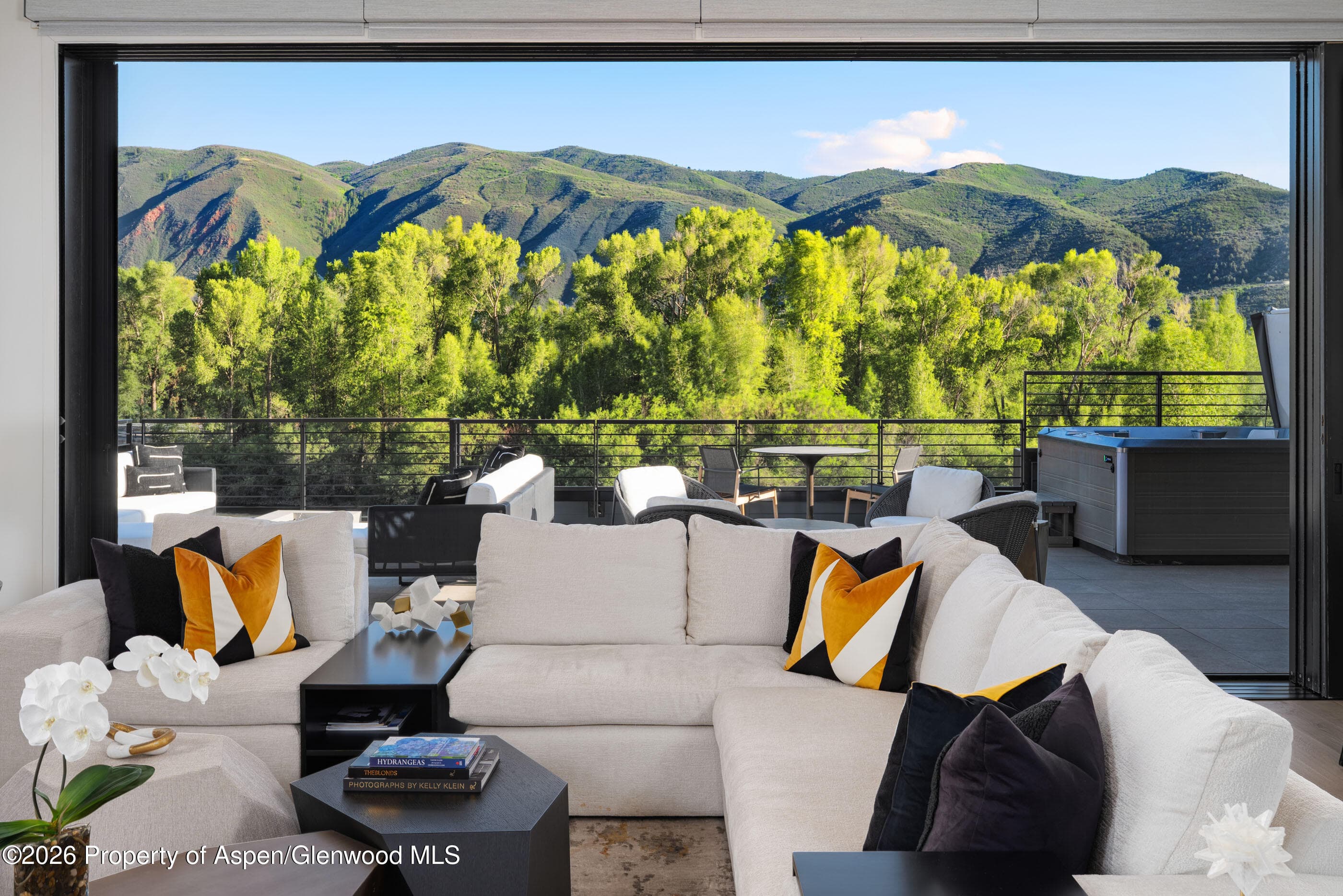 22860 Two Rivers Road Penthouse, Basalt, CO 81621 - Photo 1