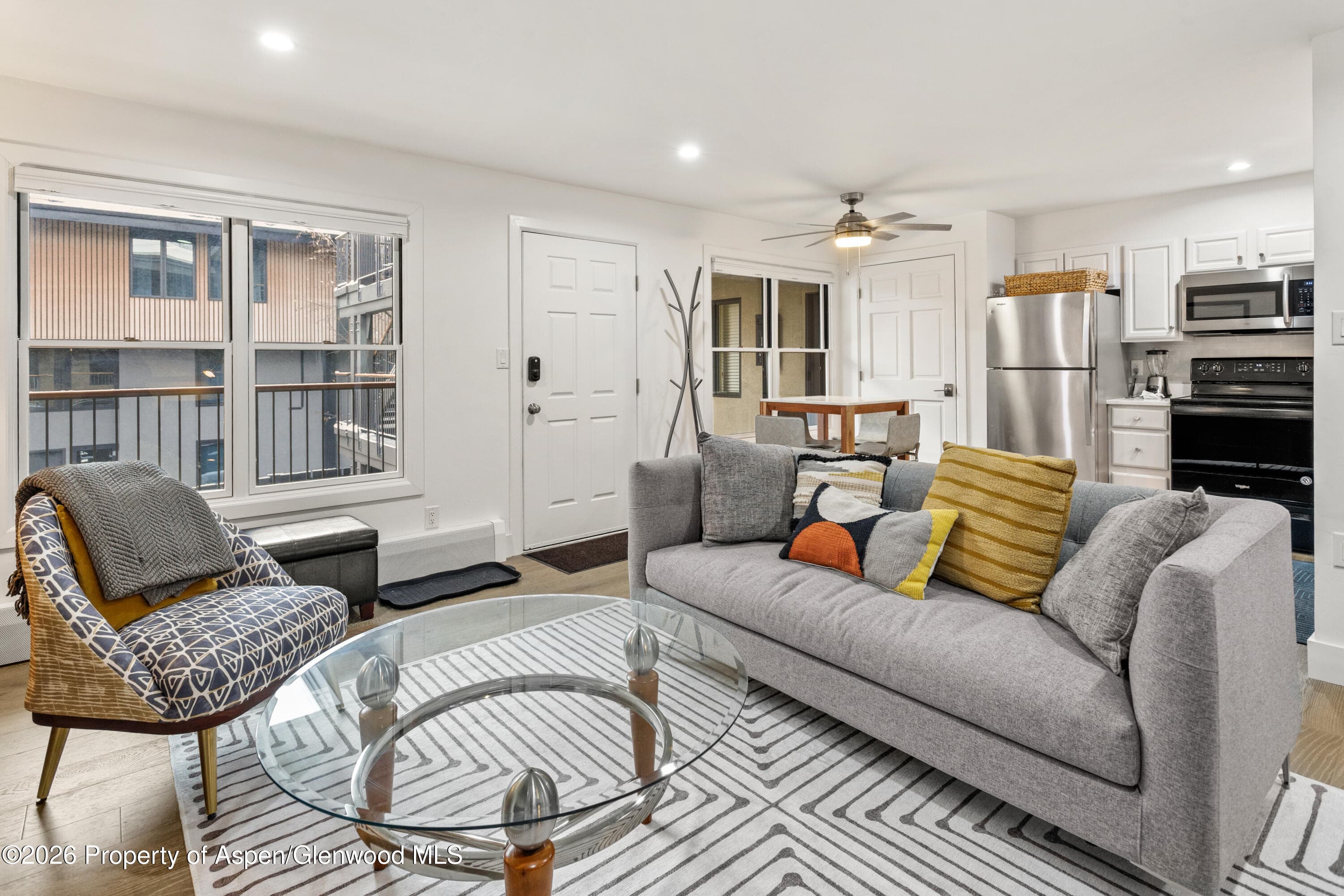 1020 E Durant Avenue 203, Aspen, CO 81611 - Photo 1
