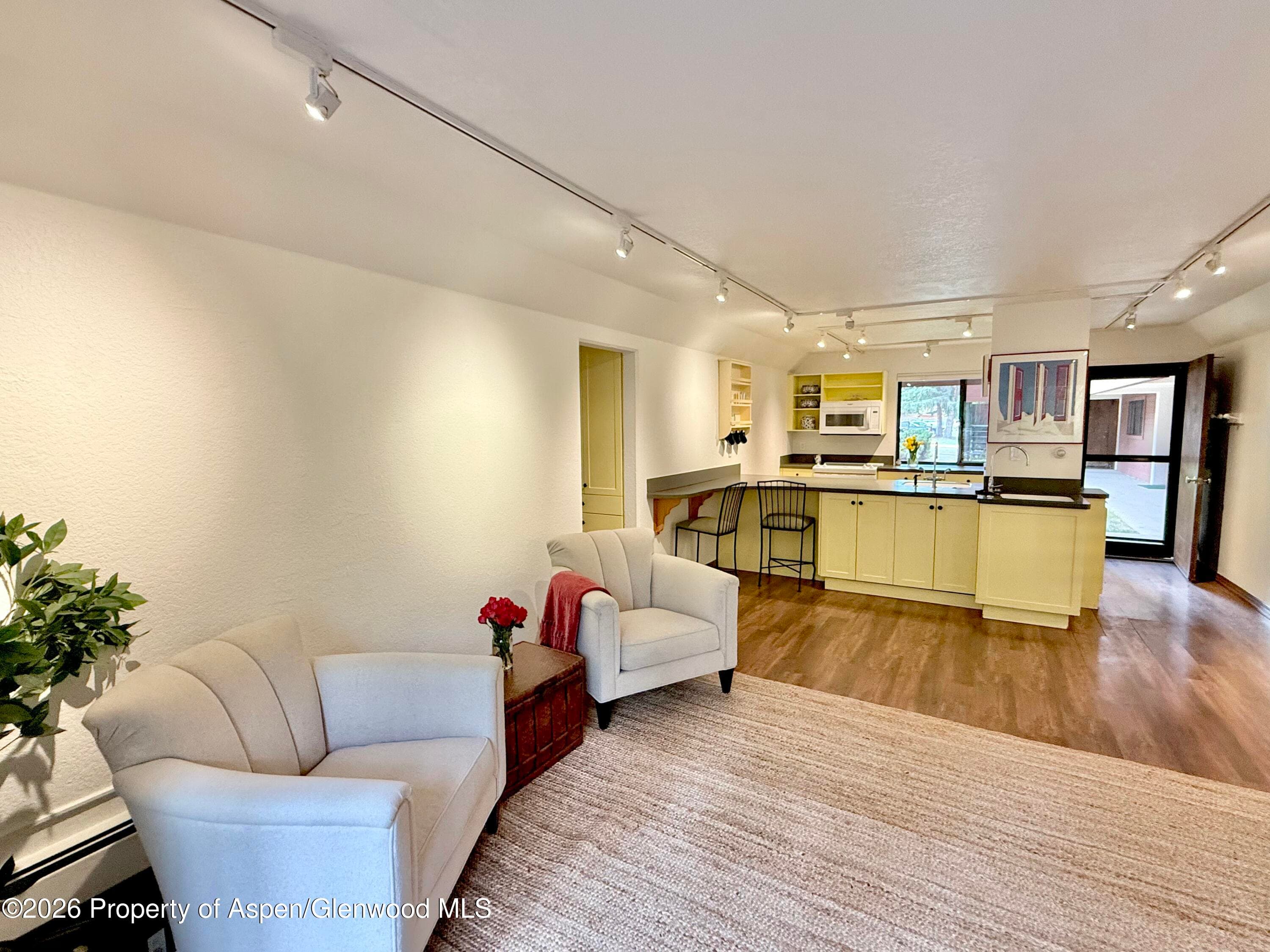 1214 Vine Street 1214, Aspen, CO 81611 - Photo 1