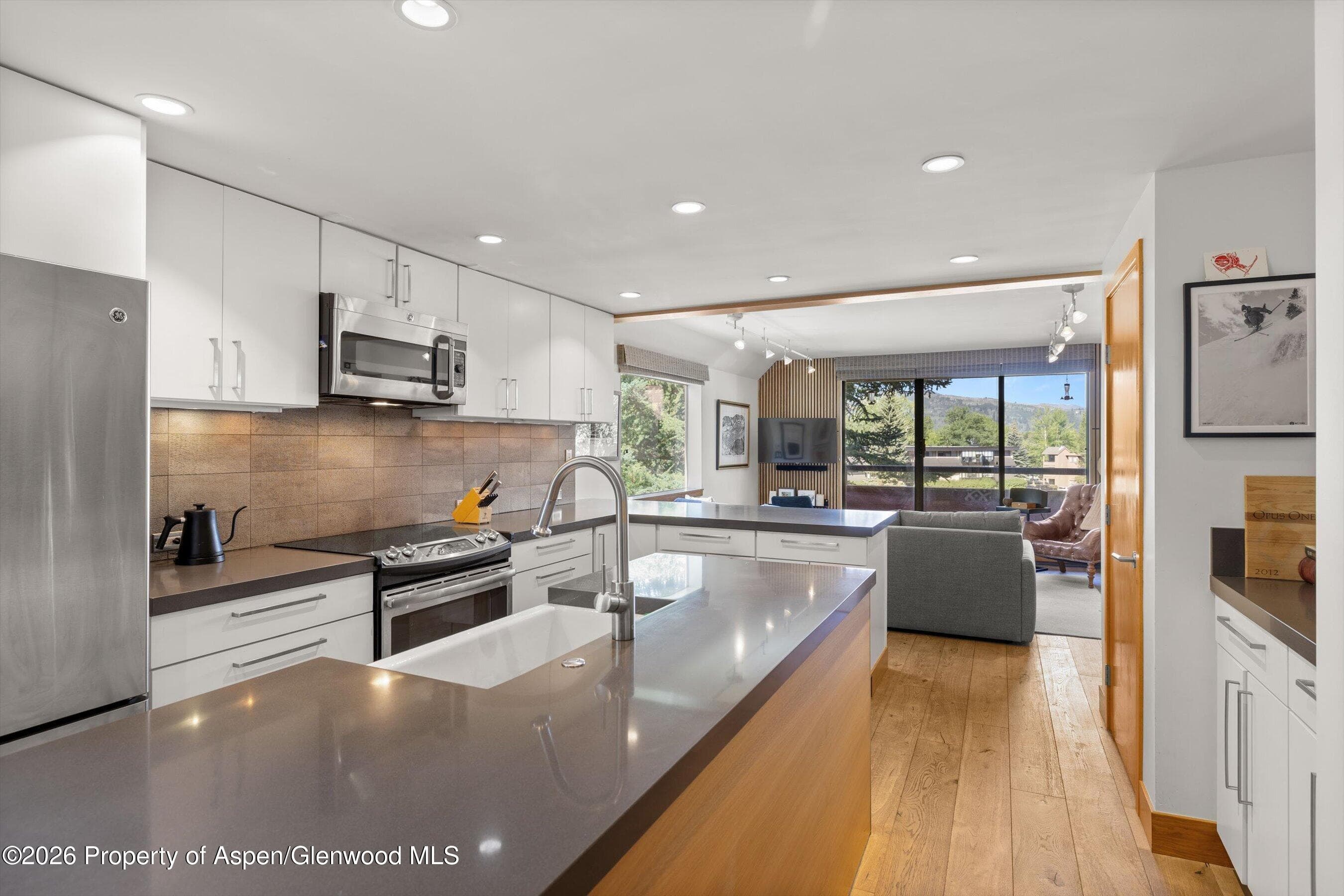 1221 Vine Street 1221, Aspen, CO 81611 - Photo 1