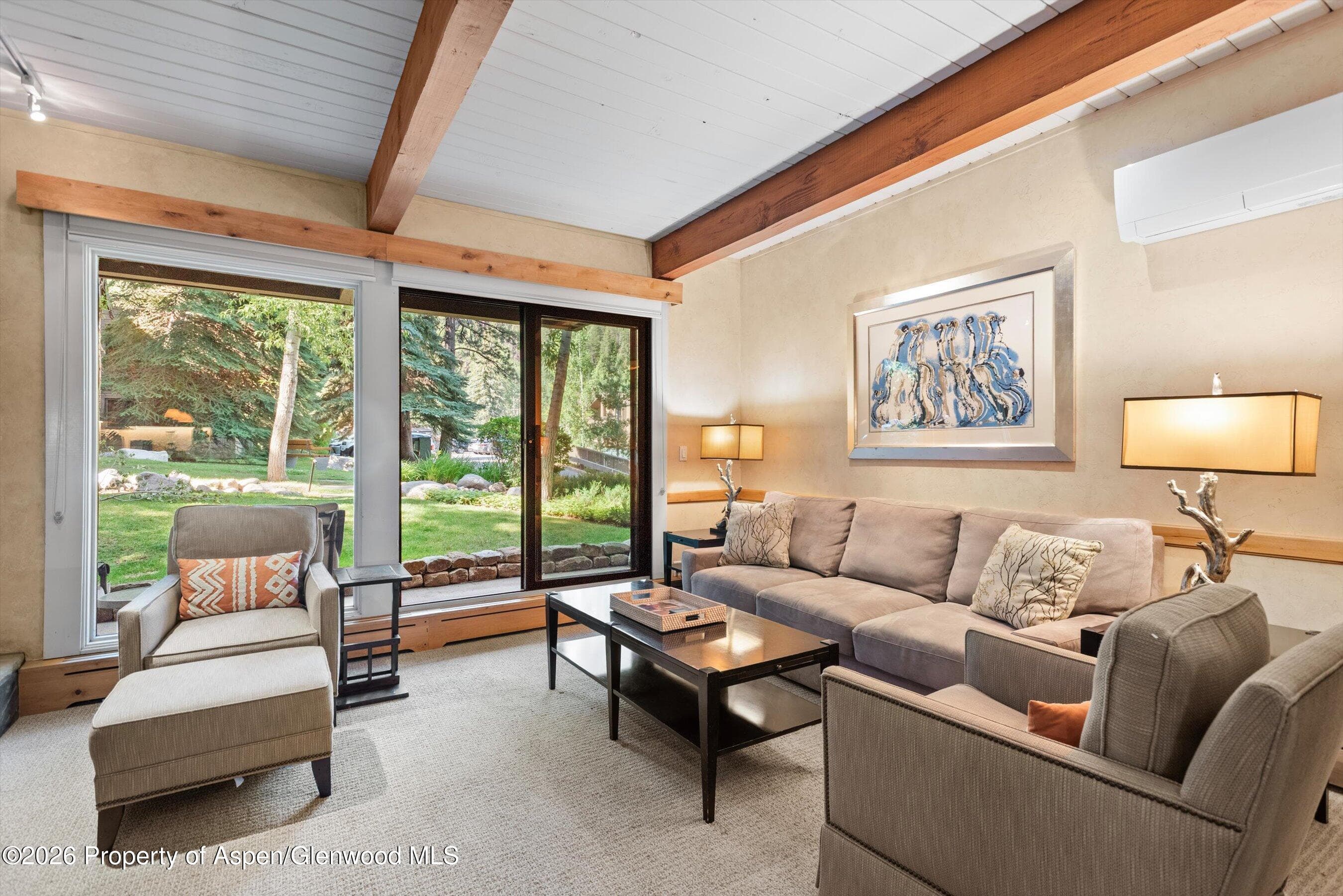 610 S West End Street D105, Aspen, CO 81611 - Photo 1