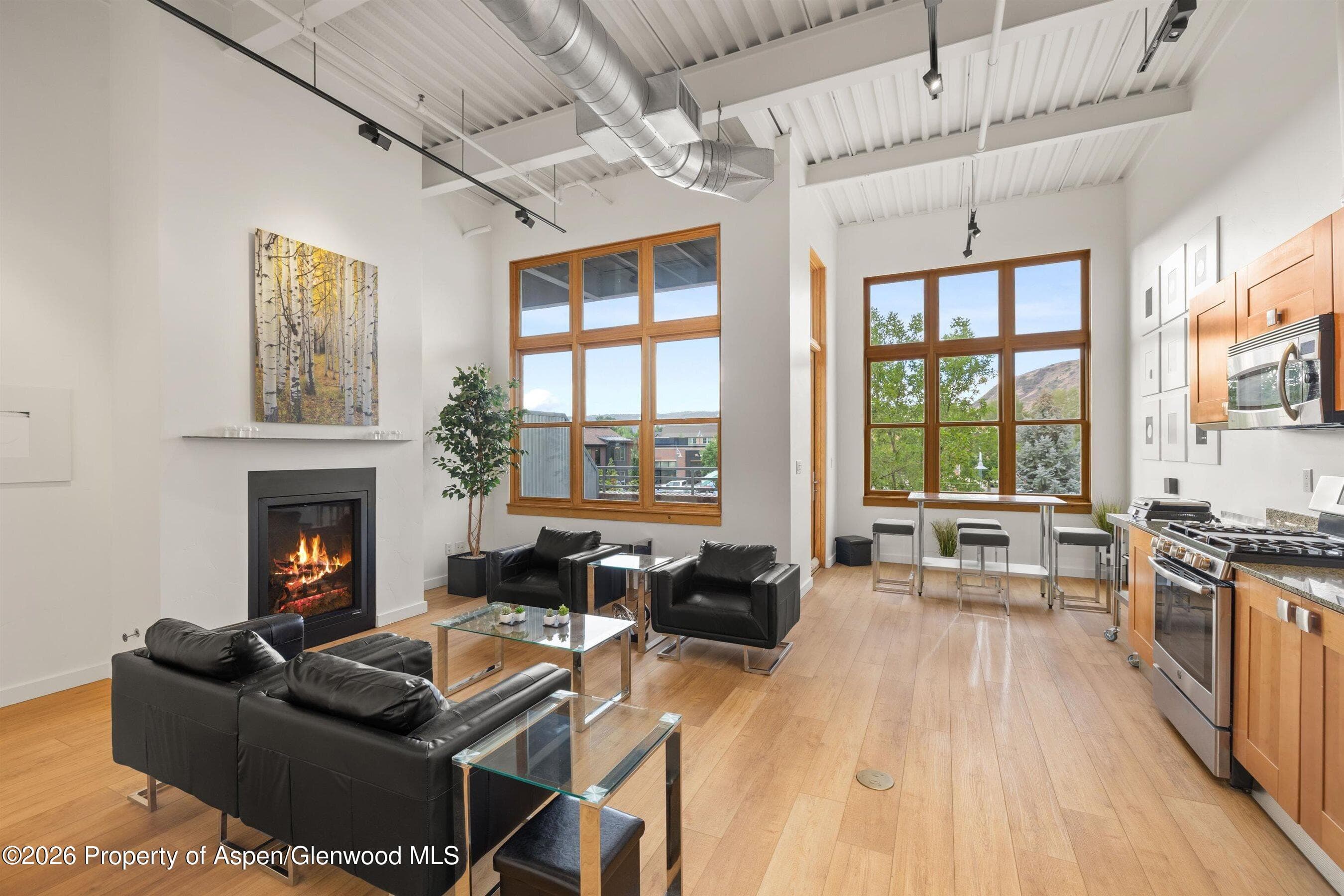 231 Robinson Street 218, Basalt, CO 81621 - Photo 1