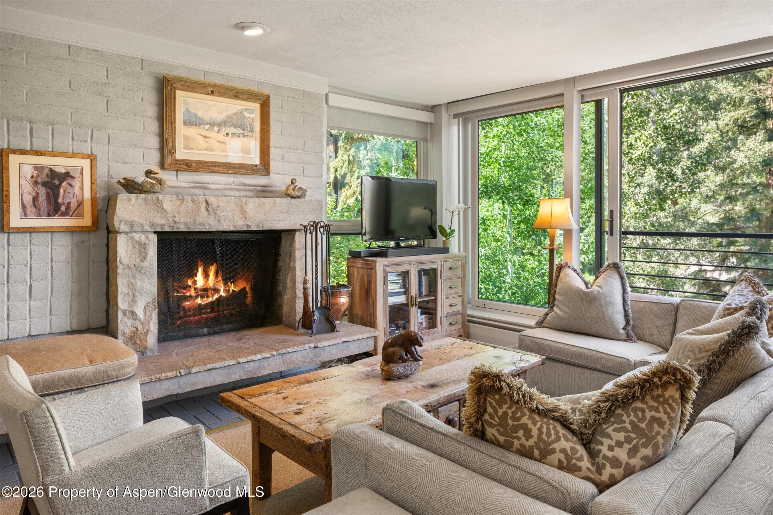 728 S Galena Street 202-B, Aspen, CO 81611 - Photo 1