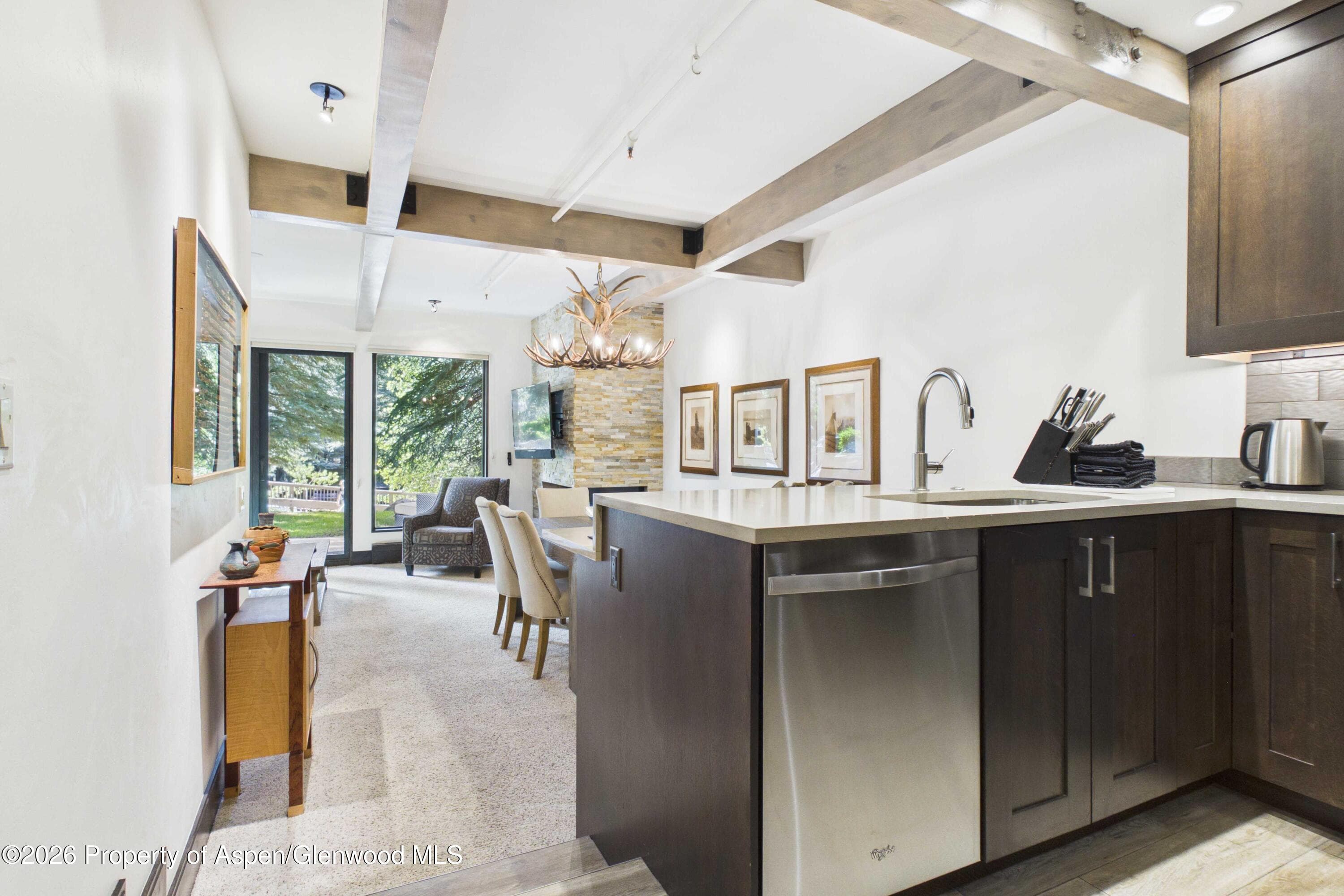 610 S West End Street E103, Aspen, CO 81611 - Photo 1