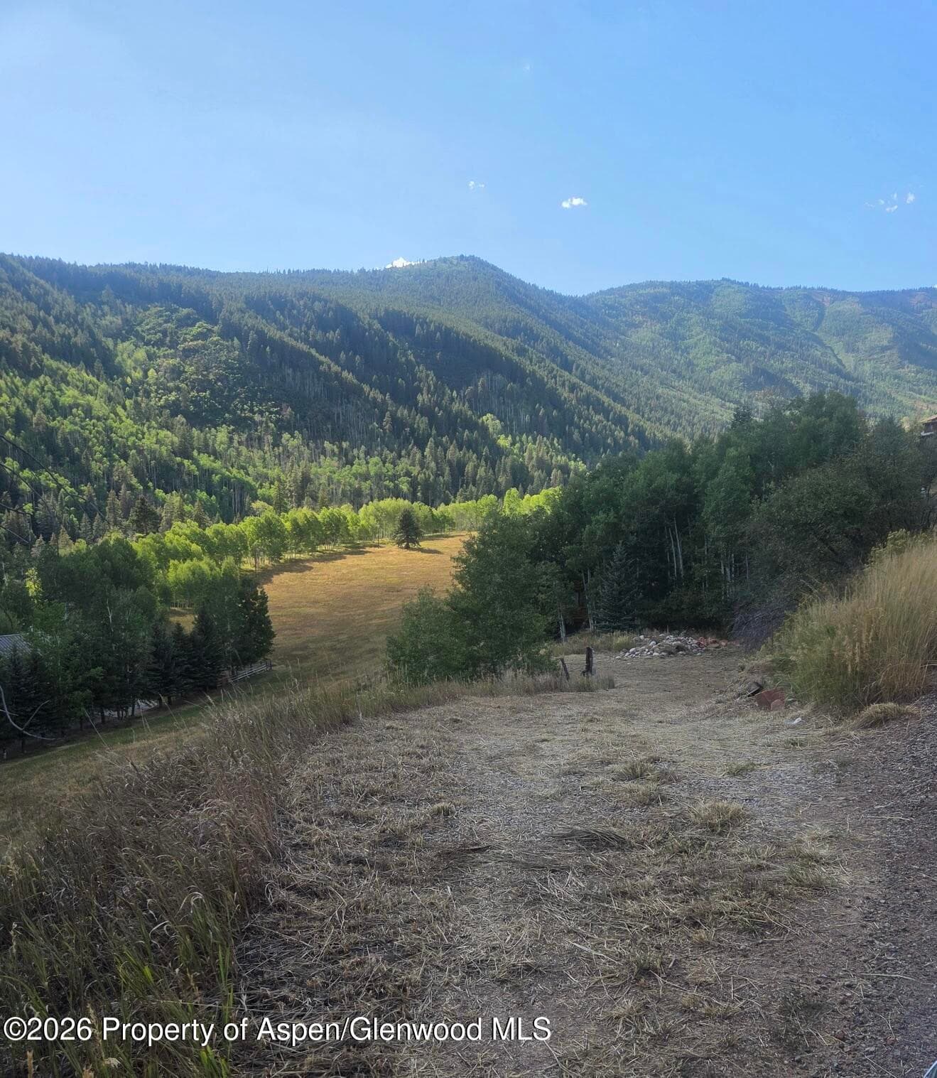 449 Mclaughlin Lane, Basalt, CO 81621 - Photo 1