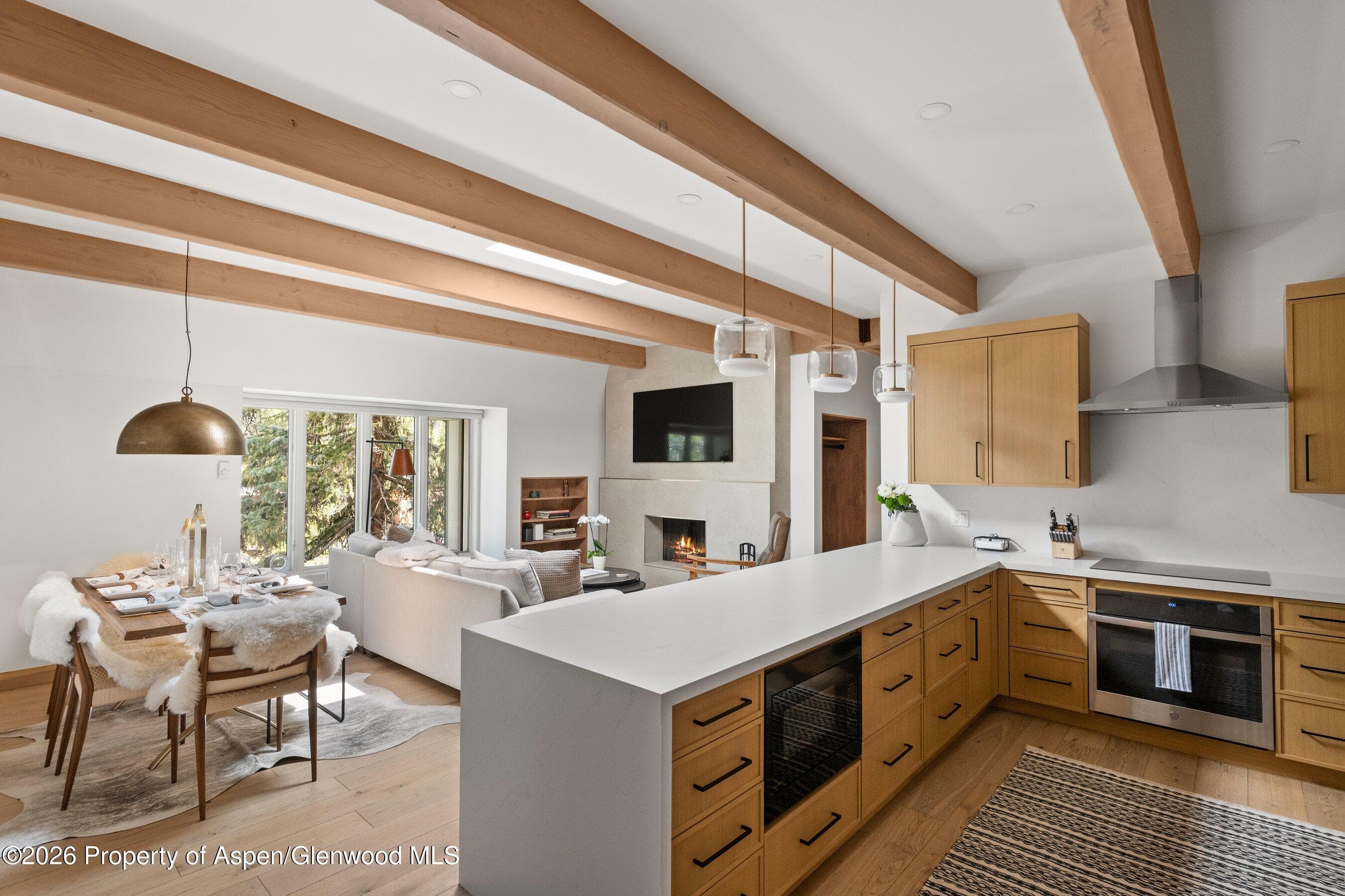 731 E Durant Avenue 17, Aspen, CO 81611 - Photo 1