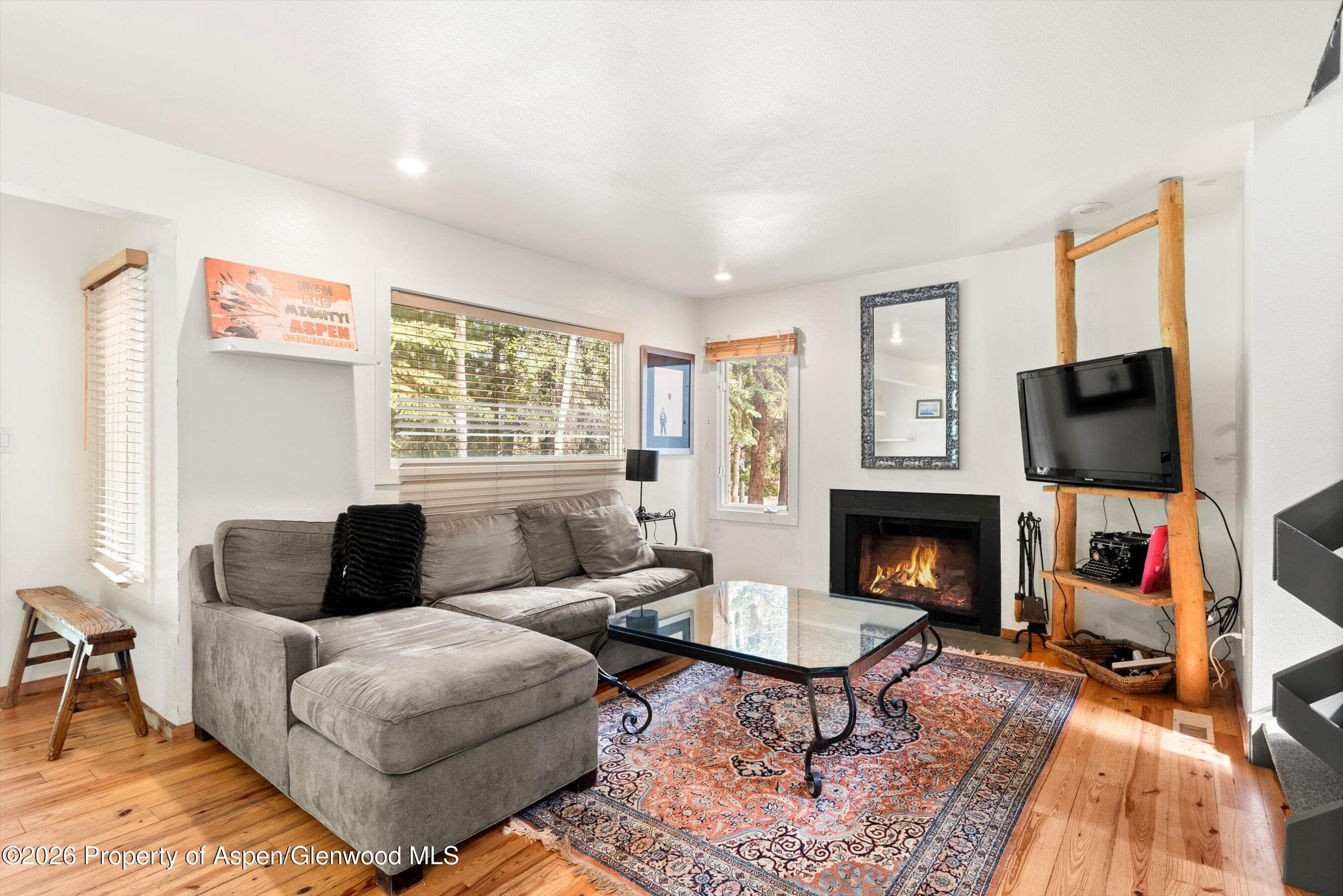 814 W Bleeker Street B3, Aspen, CO 81611 - Photo 1