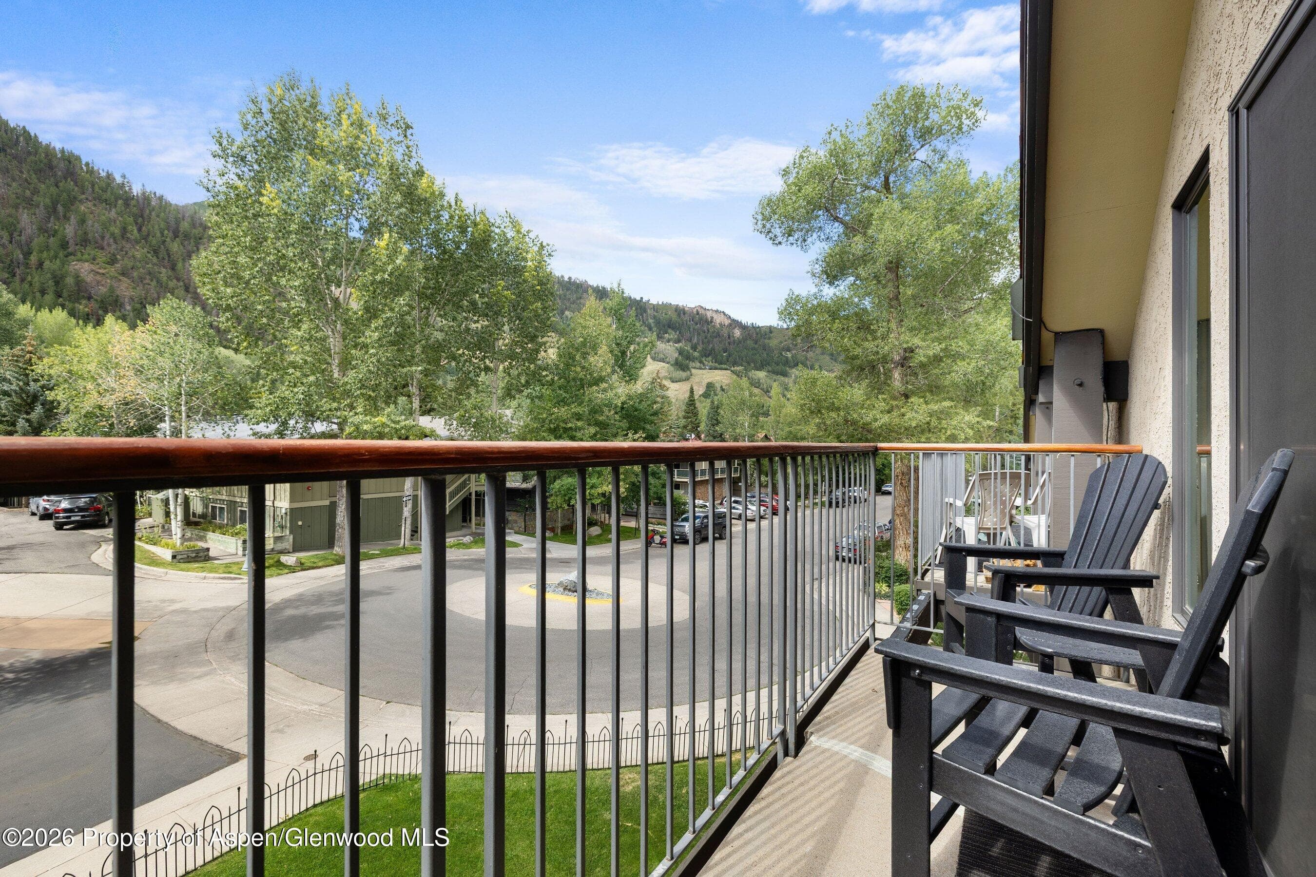 1020 E Durant Avenue 301, Aspen, CO 81611 - Photo 1