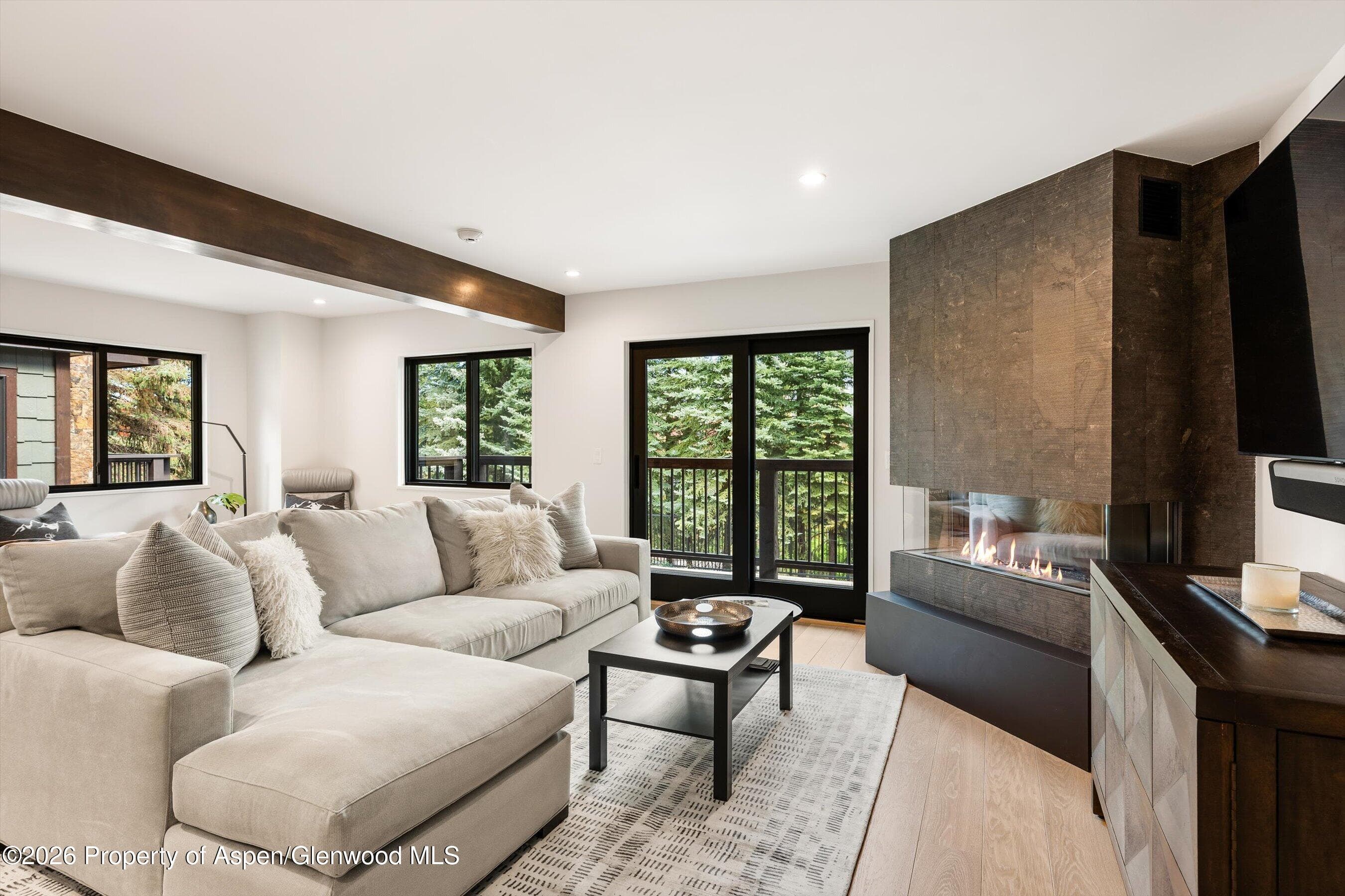 650 S Monarch Street 7, Aspen, CO 81611 - Photo 1