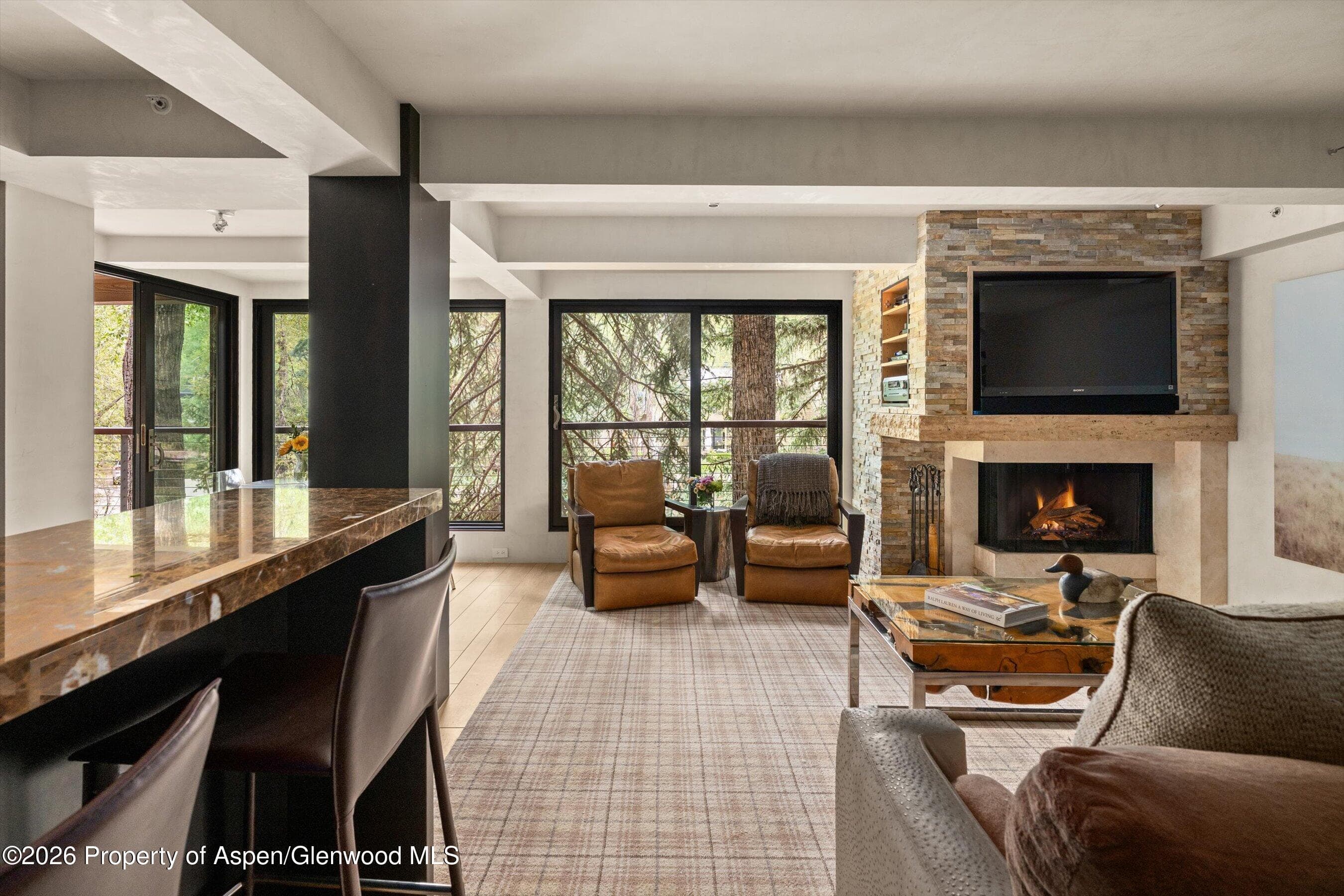 1034 E Cooper Avenue 26a, Aspen, CO 81611 - Photo 1