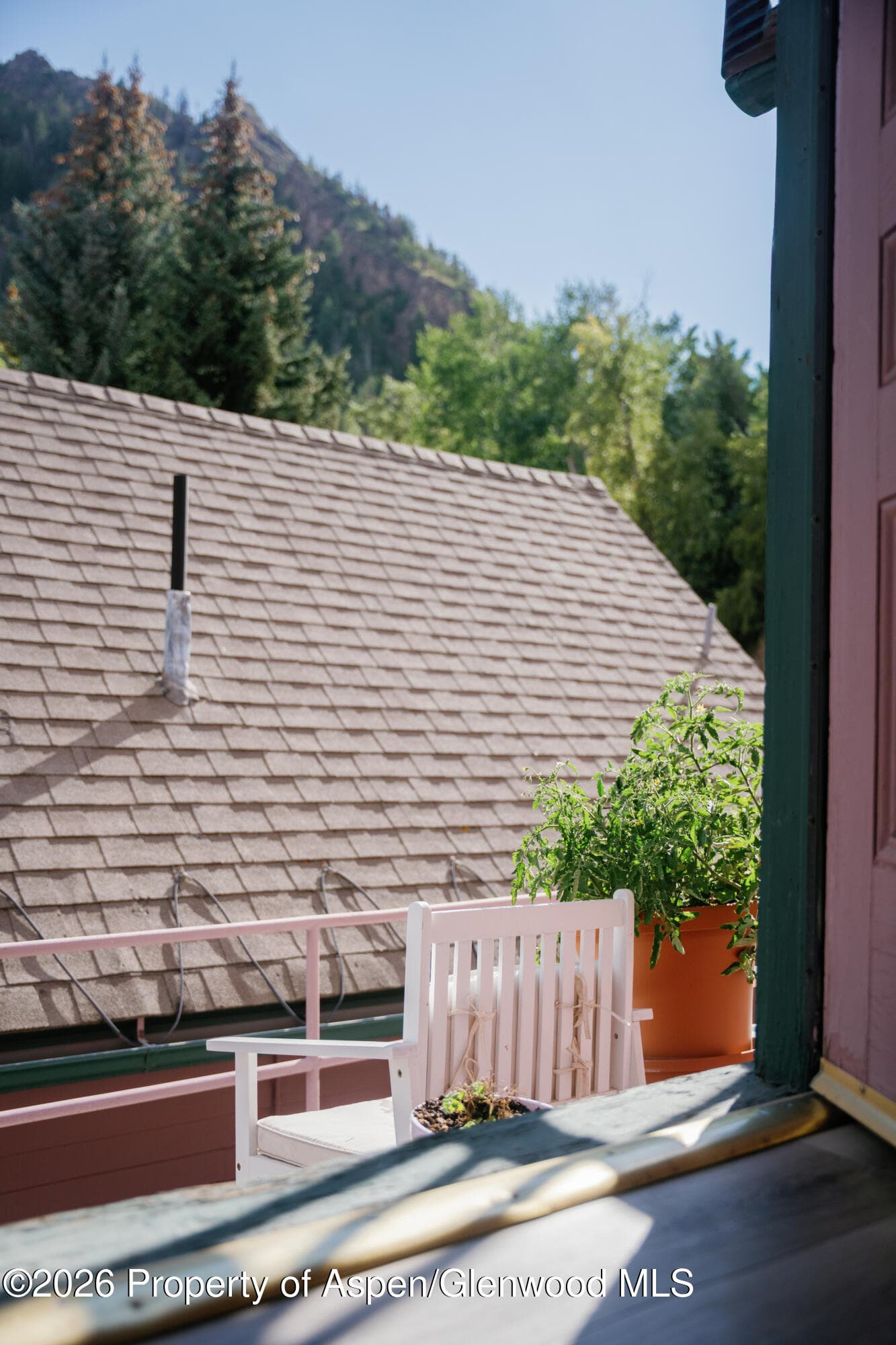 333 W Main Street B/2, Aspen, CO 81611 - Photo 1