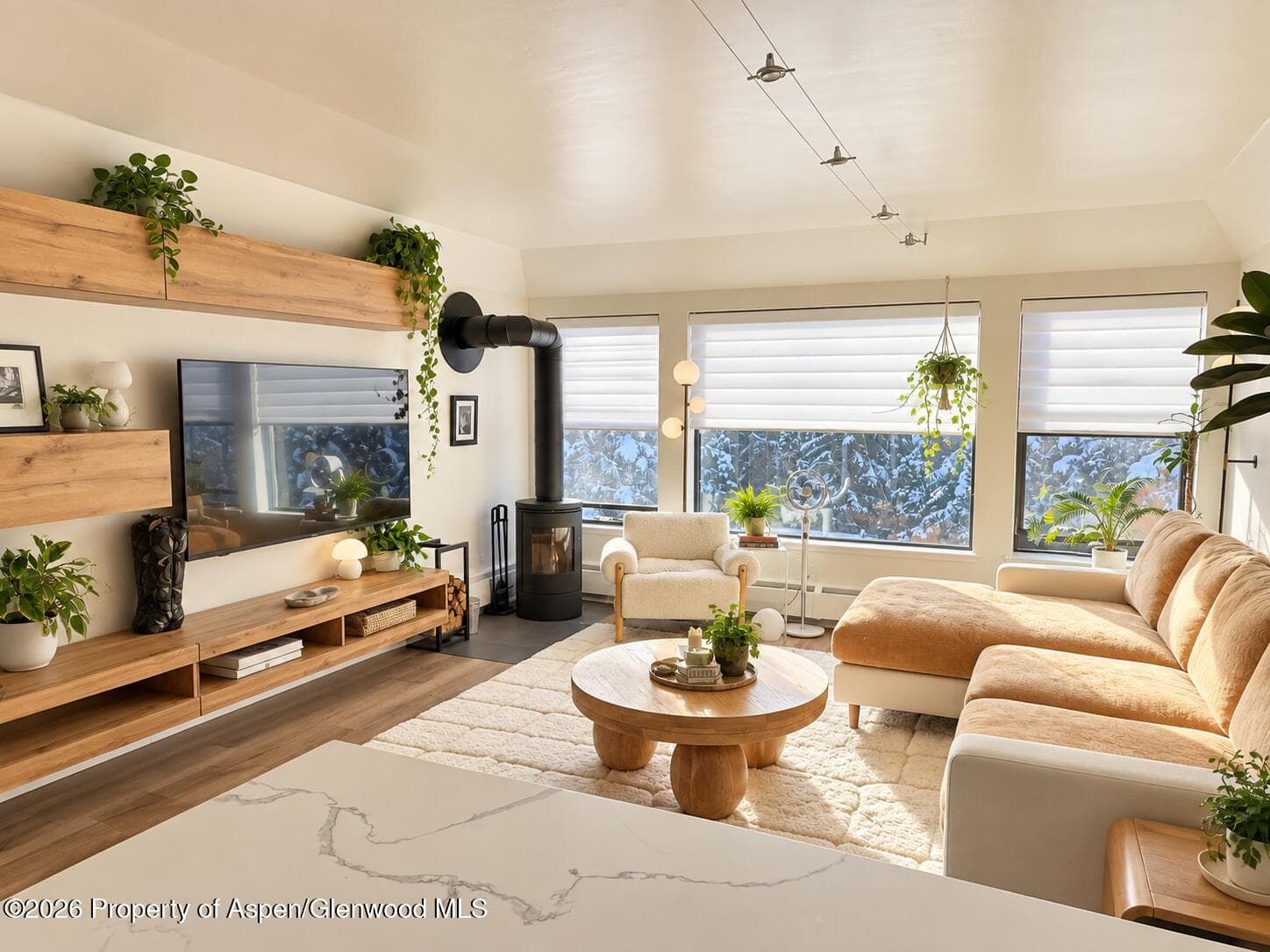 942 Vine Street, Aspen, CO 81611