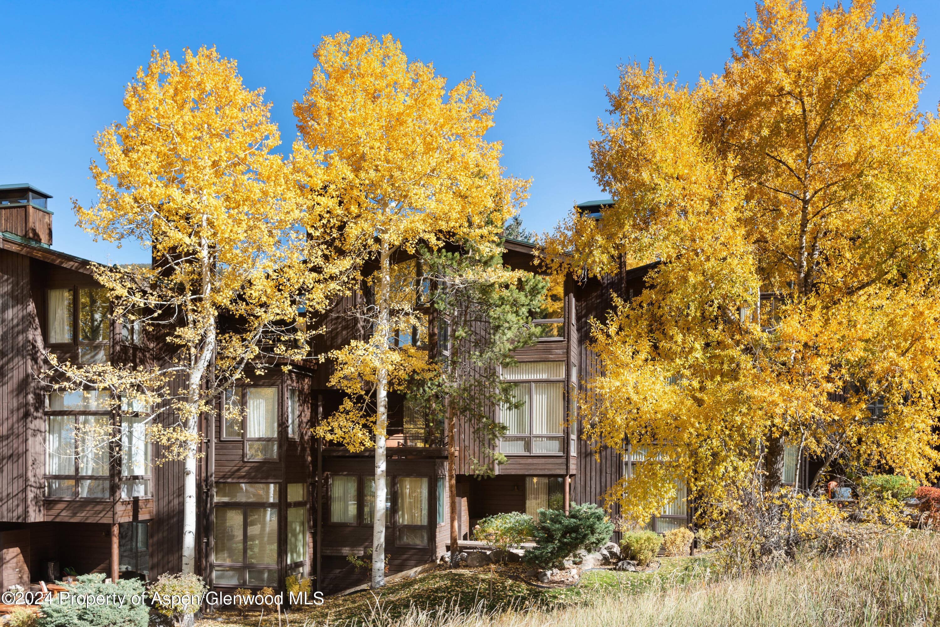 800 S Monarch Street Unit 9, Aspen, CO 81611