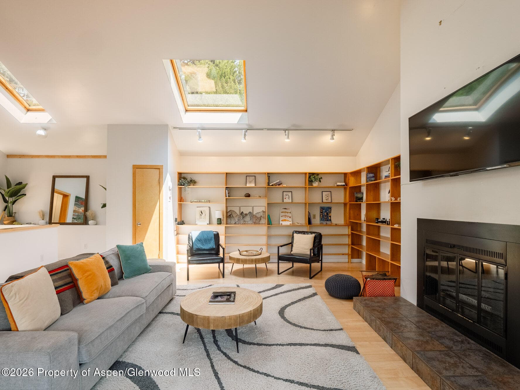216 E Homestead Drive, Basalt, CO 81621