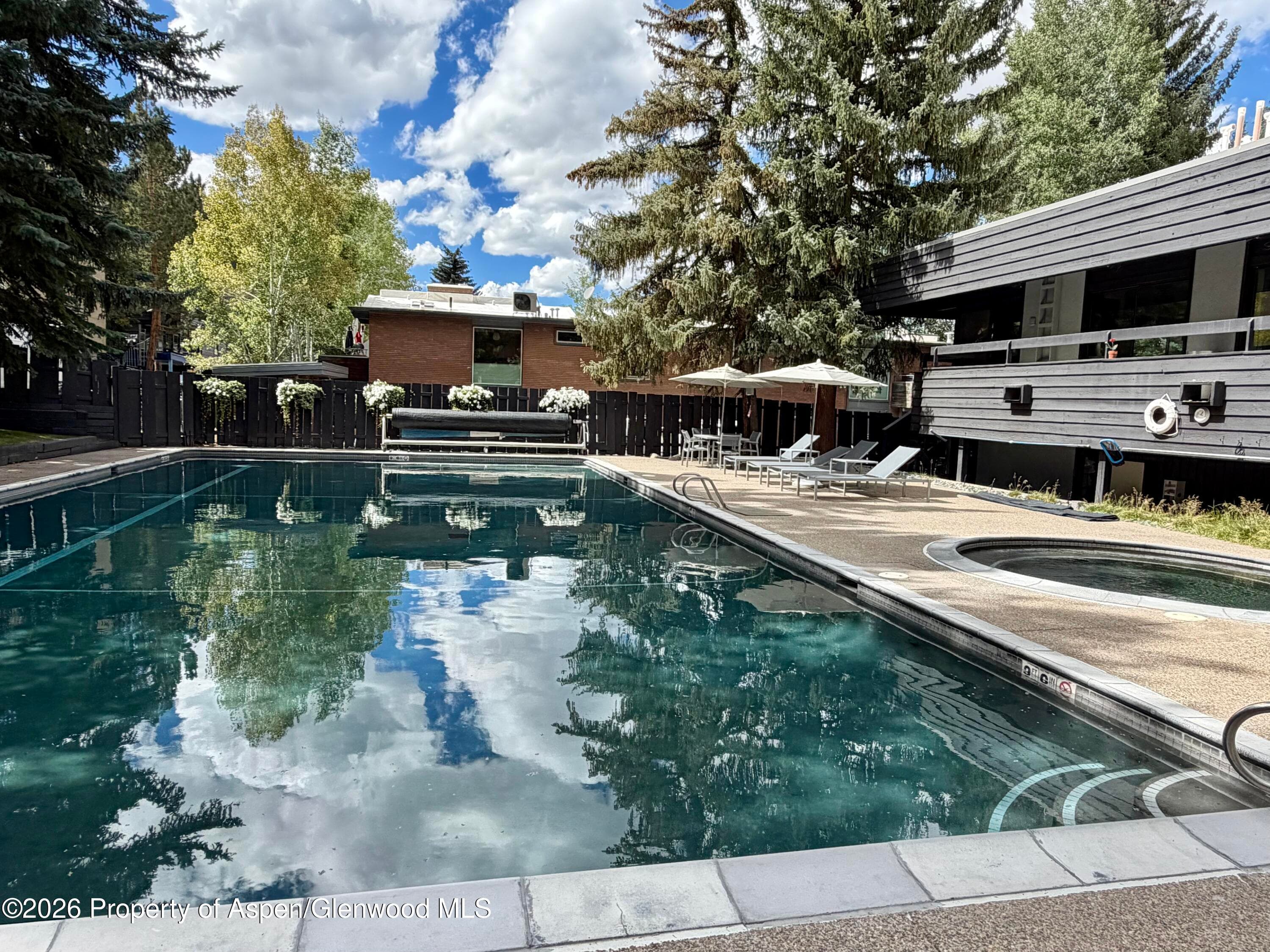 1039 E Cooper Avenue 11, Aspen, CO 81611 - Photo 1