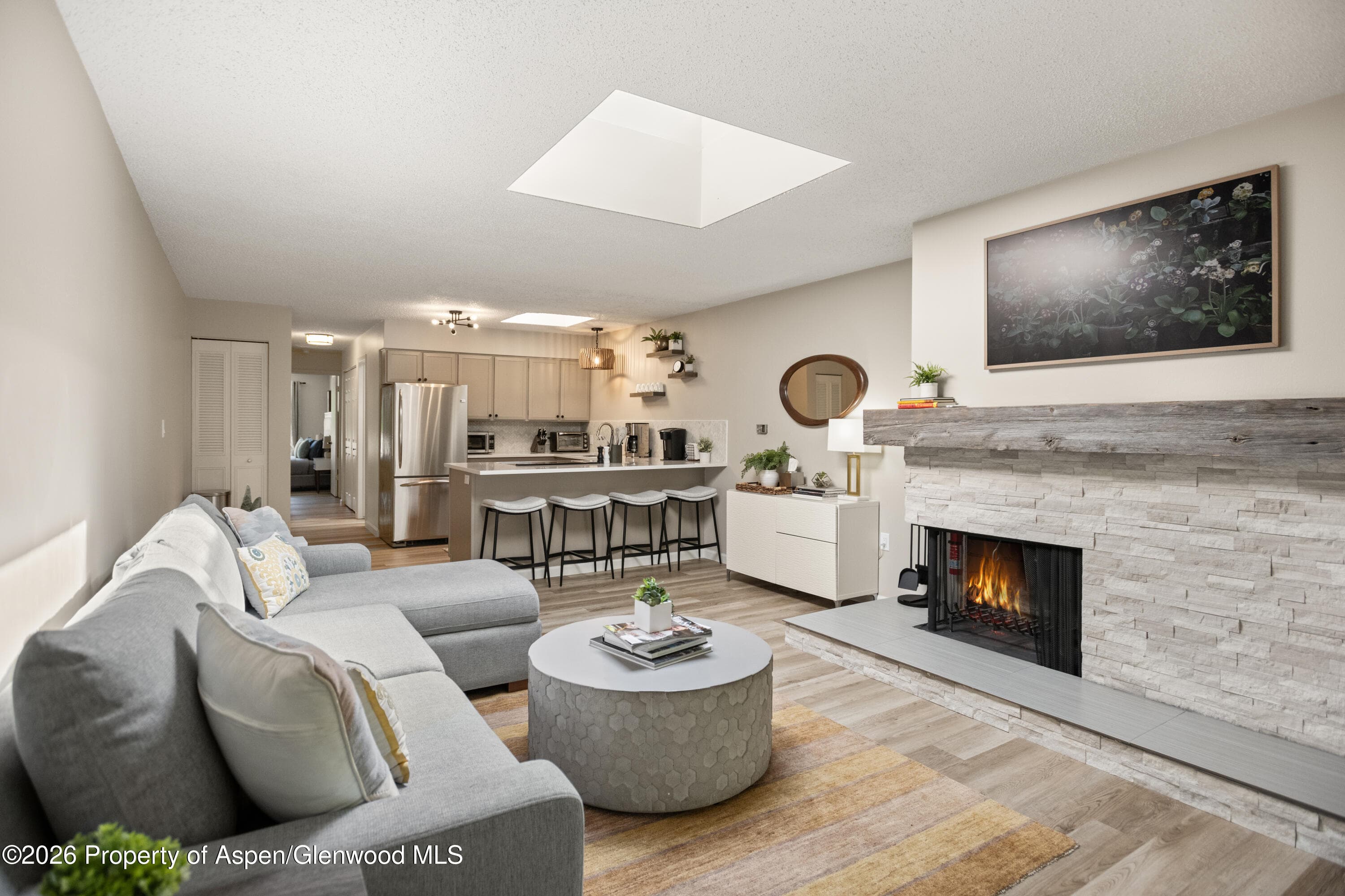 100 E Dean Street 3d, Aspen, CO 81611 - Photo 1