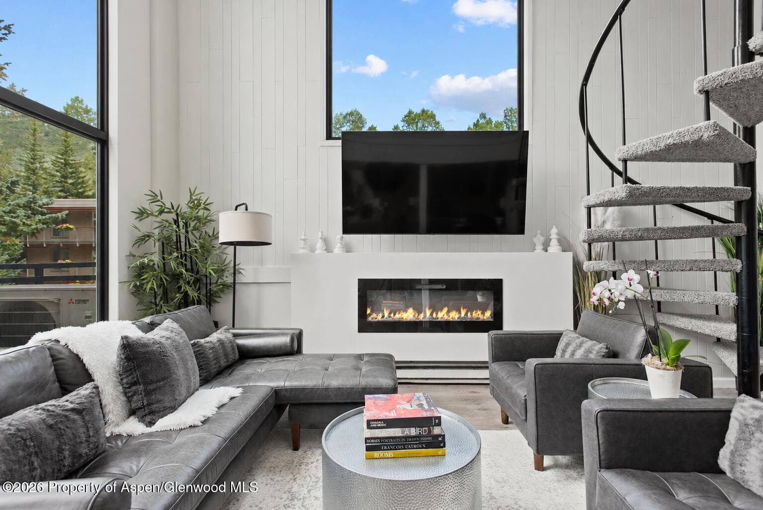 1024 E Cooper Avenue 2, Aspen, CO 81611 - Photo 1