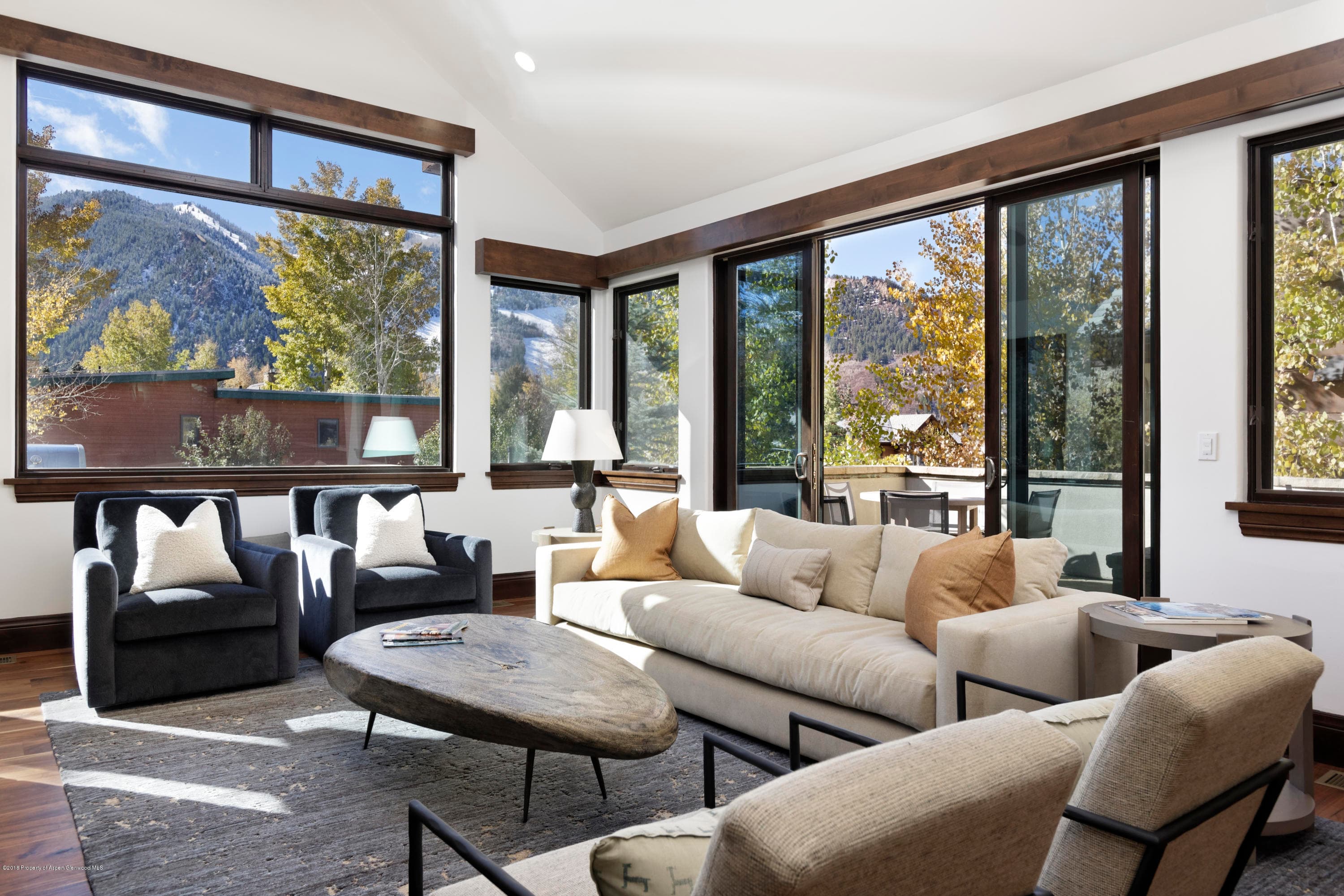 566 Race Street, Aspen, CO 81611 - Photo 1