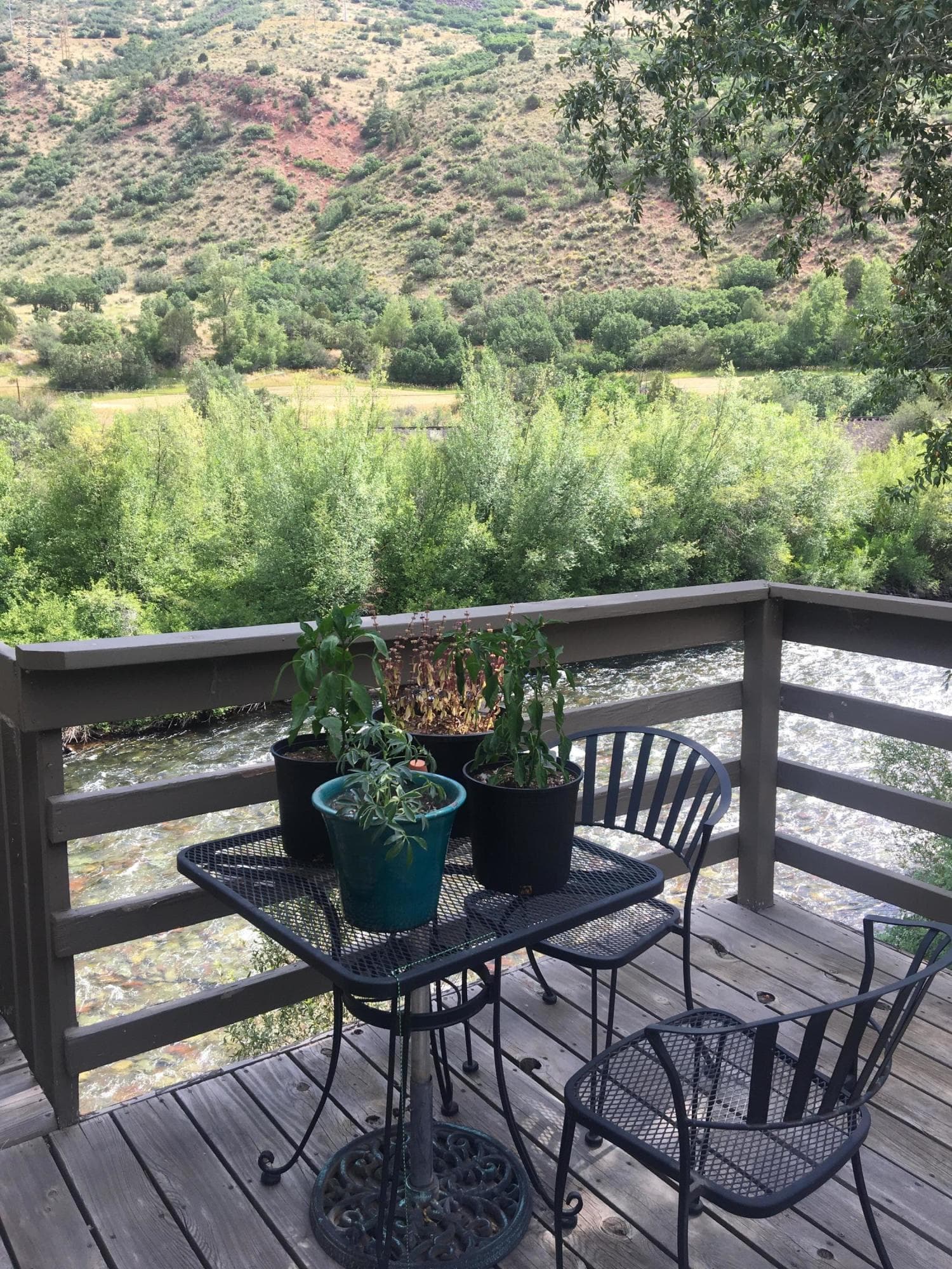 203 Waterview Drive, Snowmass, CO 81654 - Photo 1