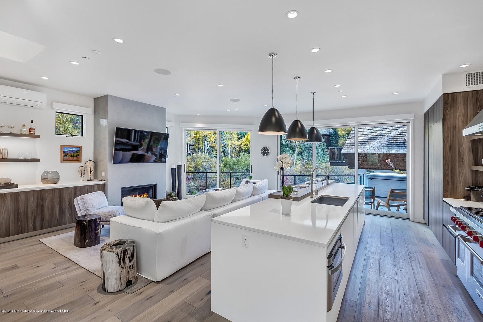 1098 E Waters Avenue, Aspen, CO 81611 - Photo 1