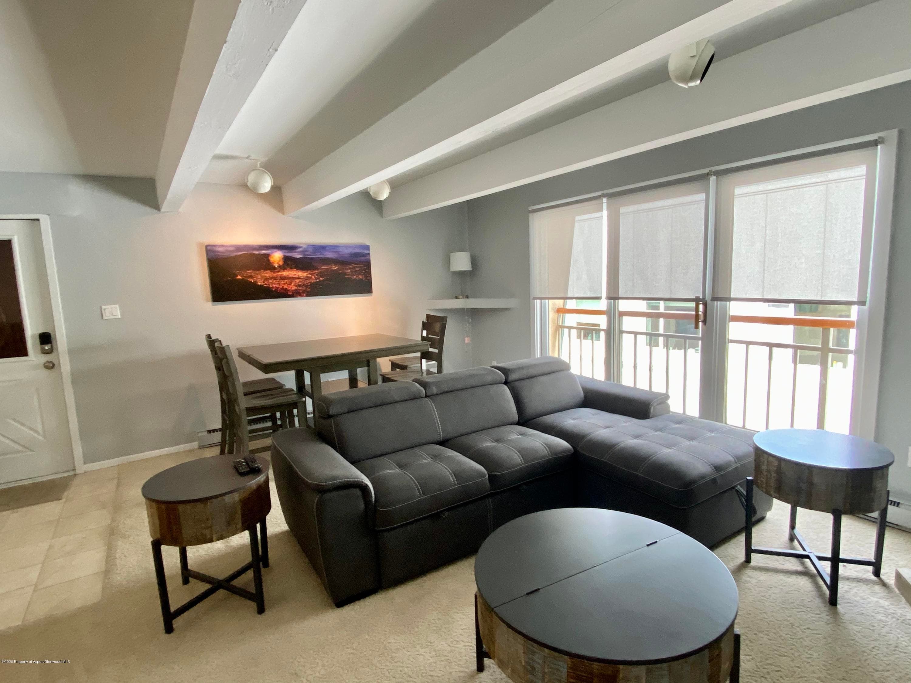 630 E Cooper Avenue 18, Aspen, CO 81611 - Photo 1