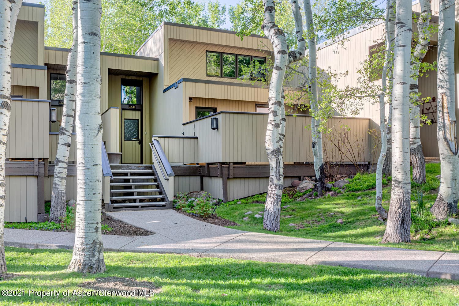 1441 Crystal Lake Road 2, Aspen, CO 81611 - Photo 1