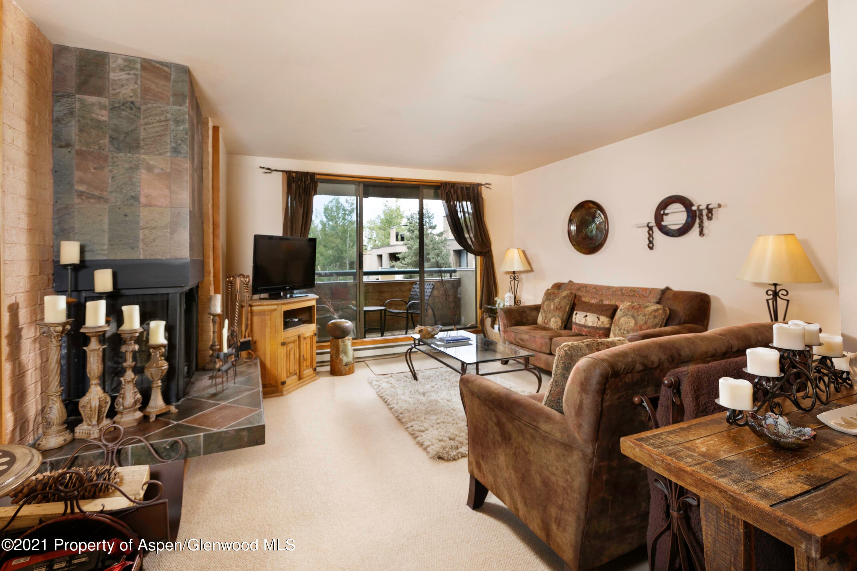 1028 E Hopkins Avenue Unit #24, Aspen, CO 81611 - Photo 1