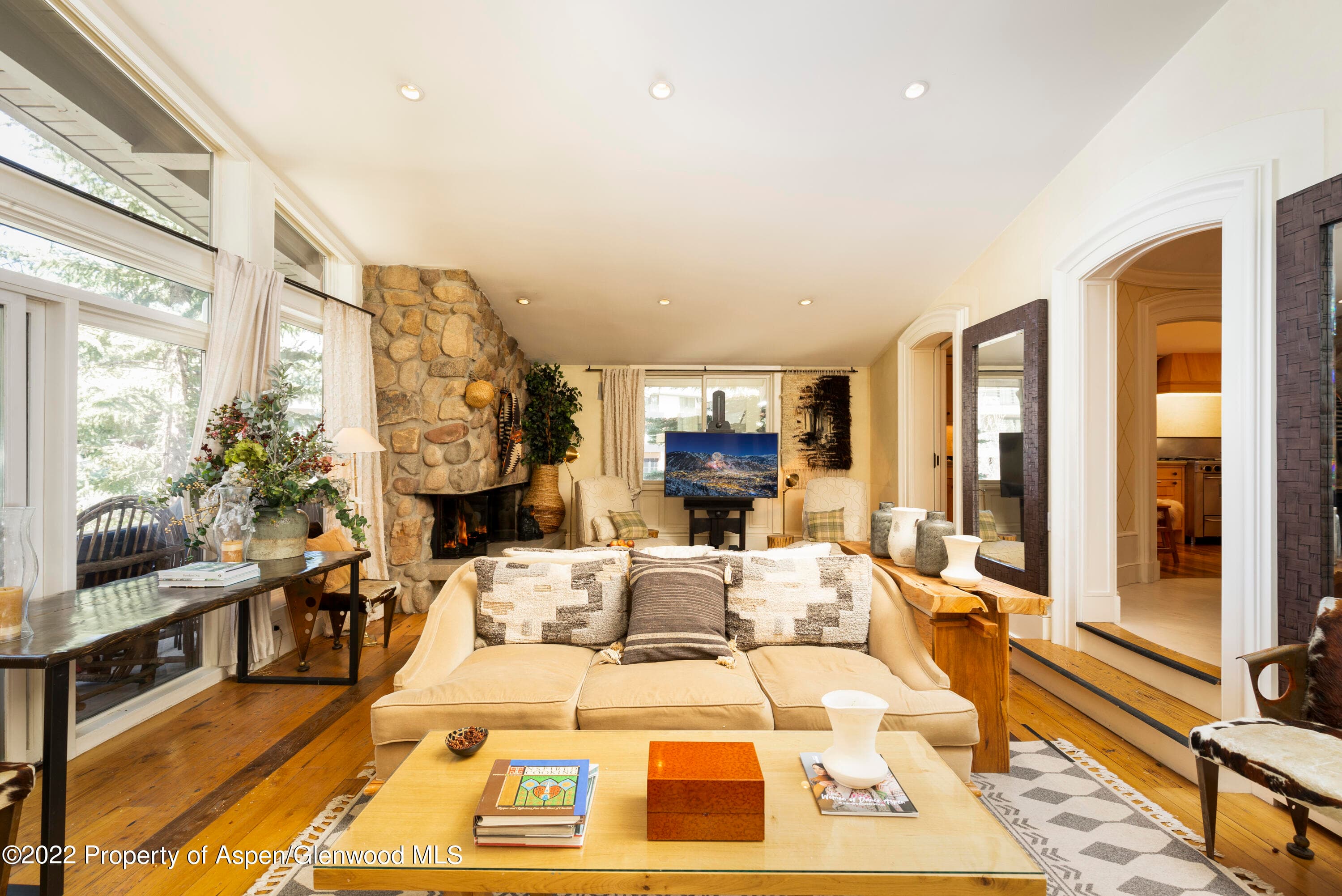 700 S Ute Avenue 202, Aspen, CO 81611 - Photo 1