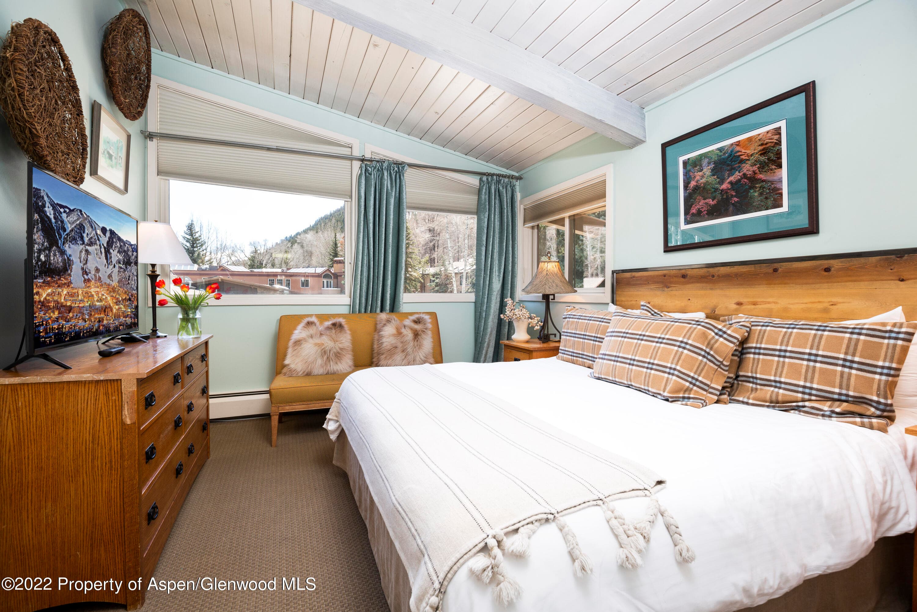 700 S Ute Avenue 210, Aspen, CO 81611 - Photo 1