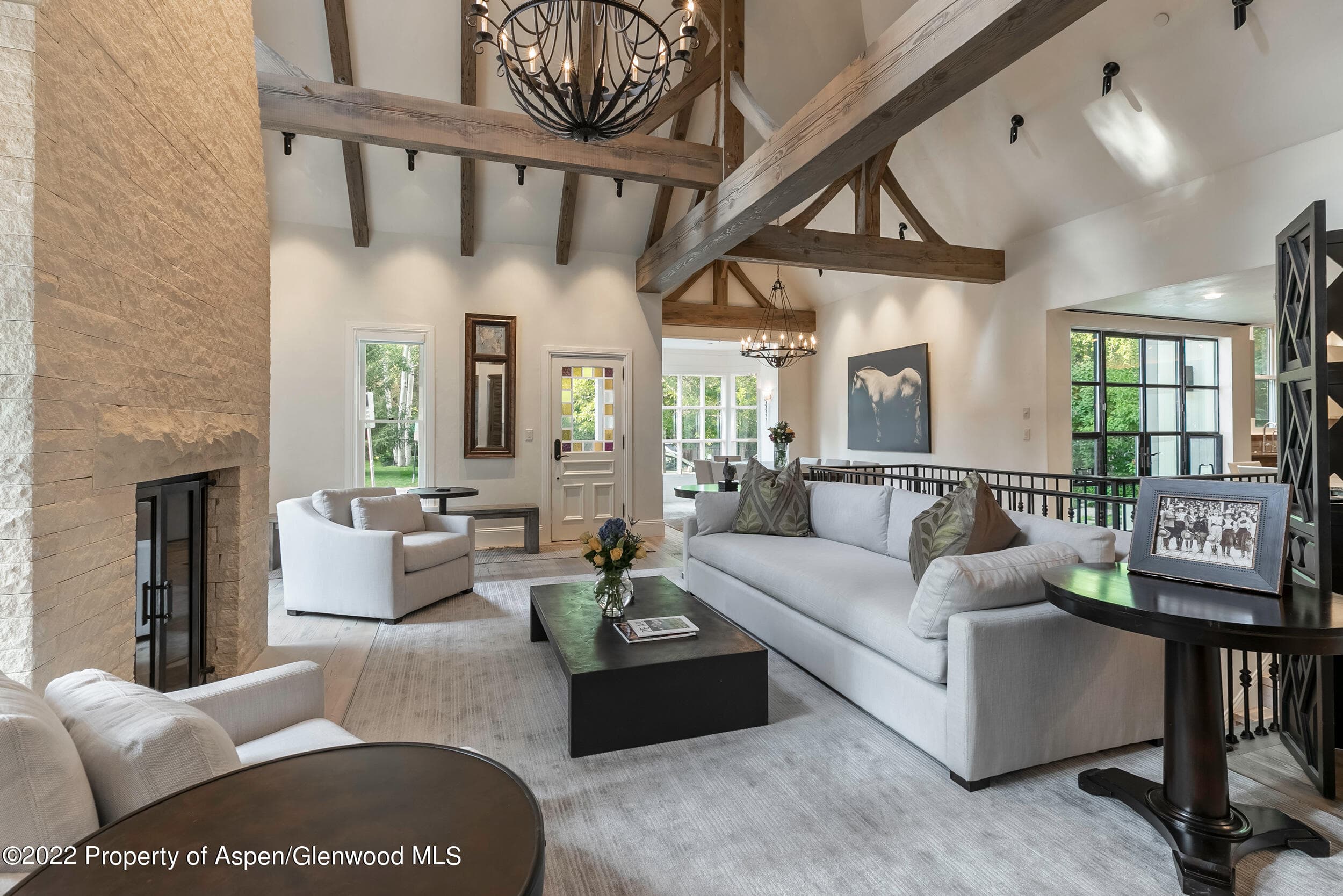135 W Hopkins Avenue, Aspen, CO 81611 - Photo 1