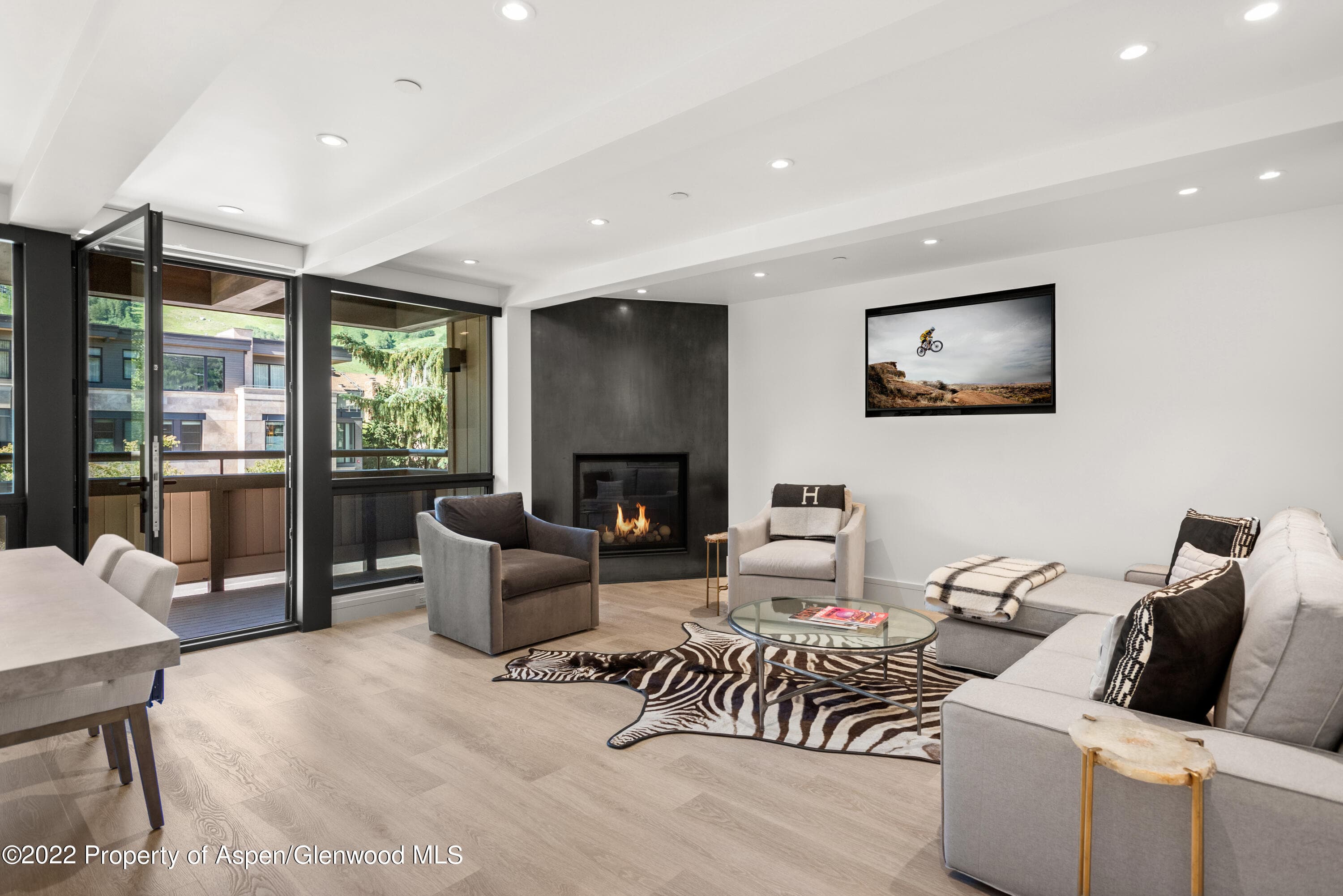 600 E Main Street 307, Aspen, CO 81611 - Photo 1