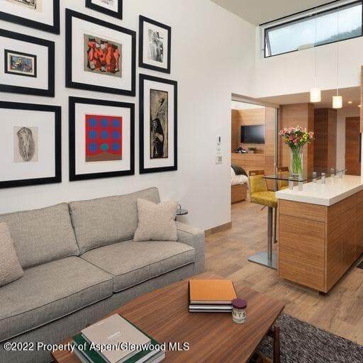 119 E Cooper Avenue 22, Aspen, CO 81611 - Photo 1