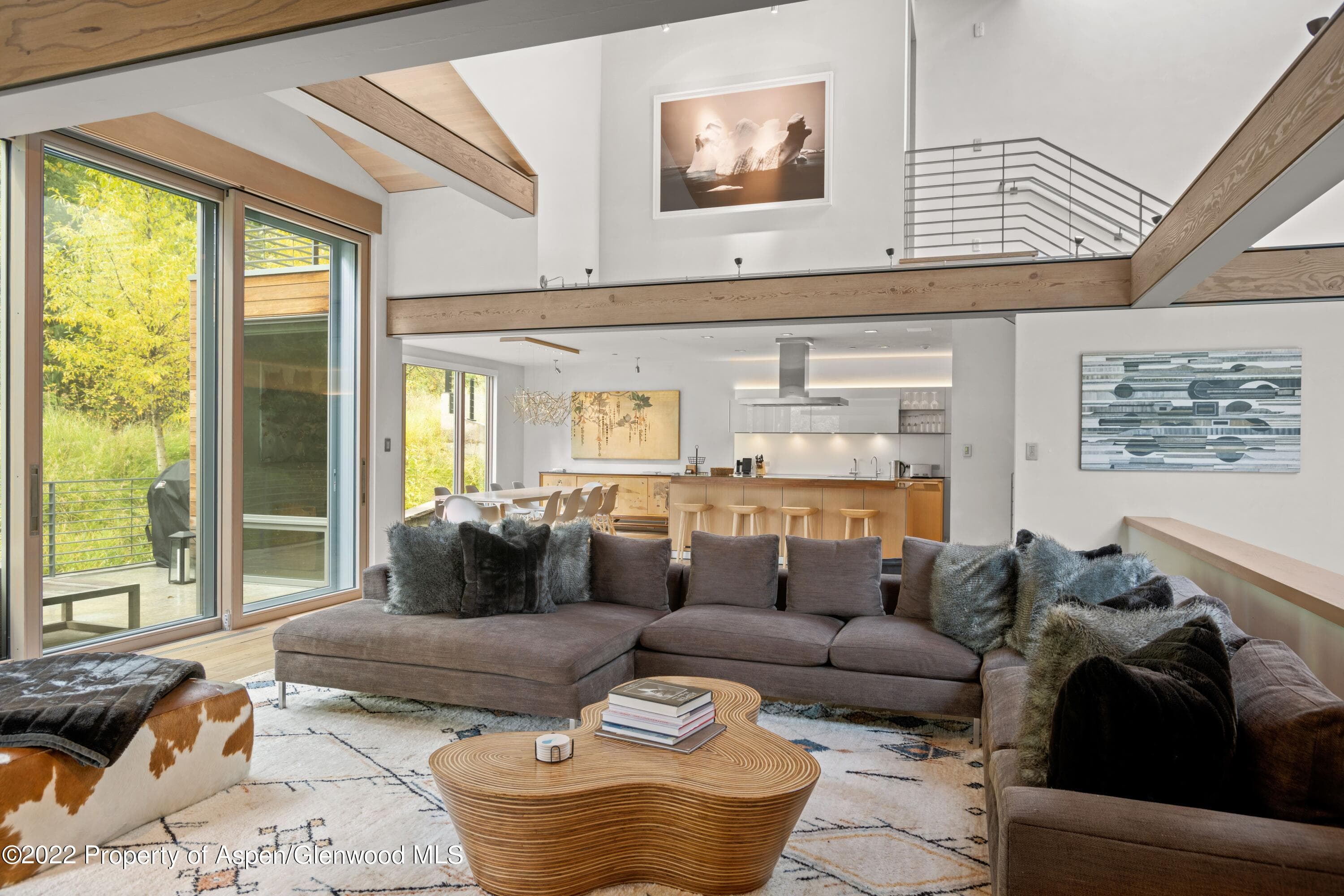 217 S Third Street, Aspen, CO 81611 - Photo 1