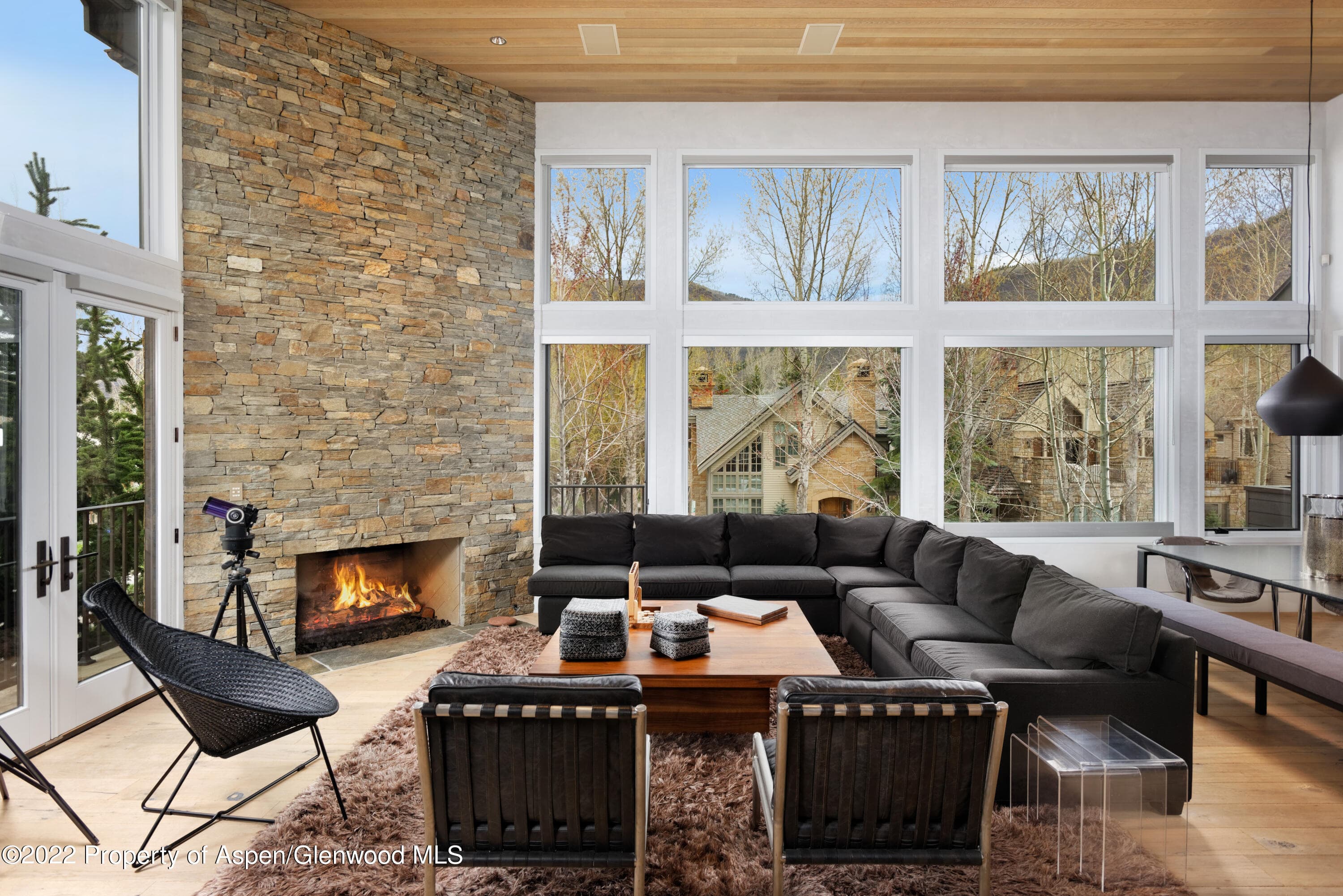 410 S West End Street 101, Aspen, CO 81611 - Photo 1