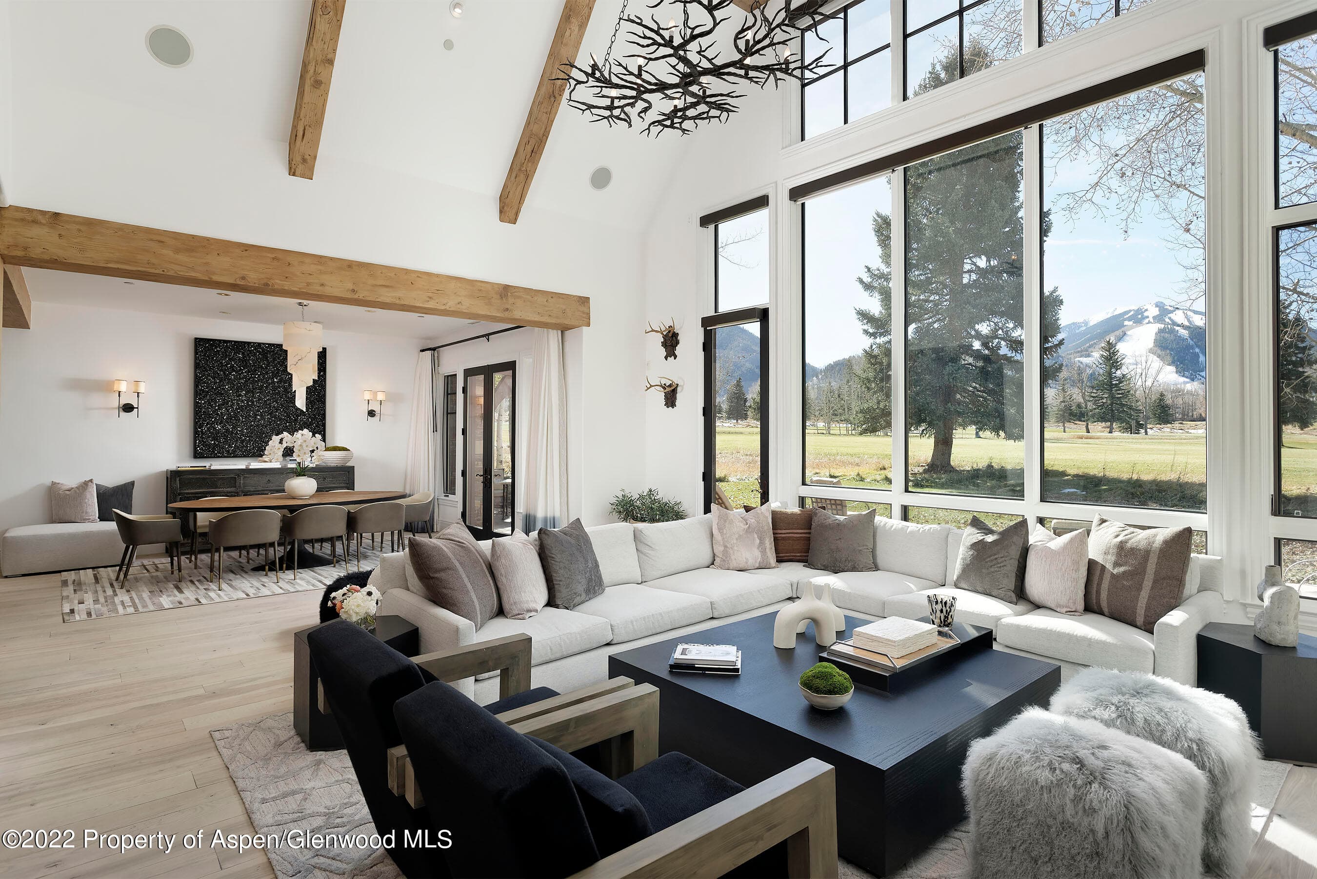 857 Bonita Drive, Aspen, CO 81611 - Photo 1