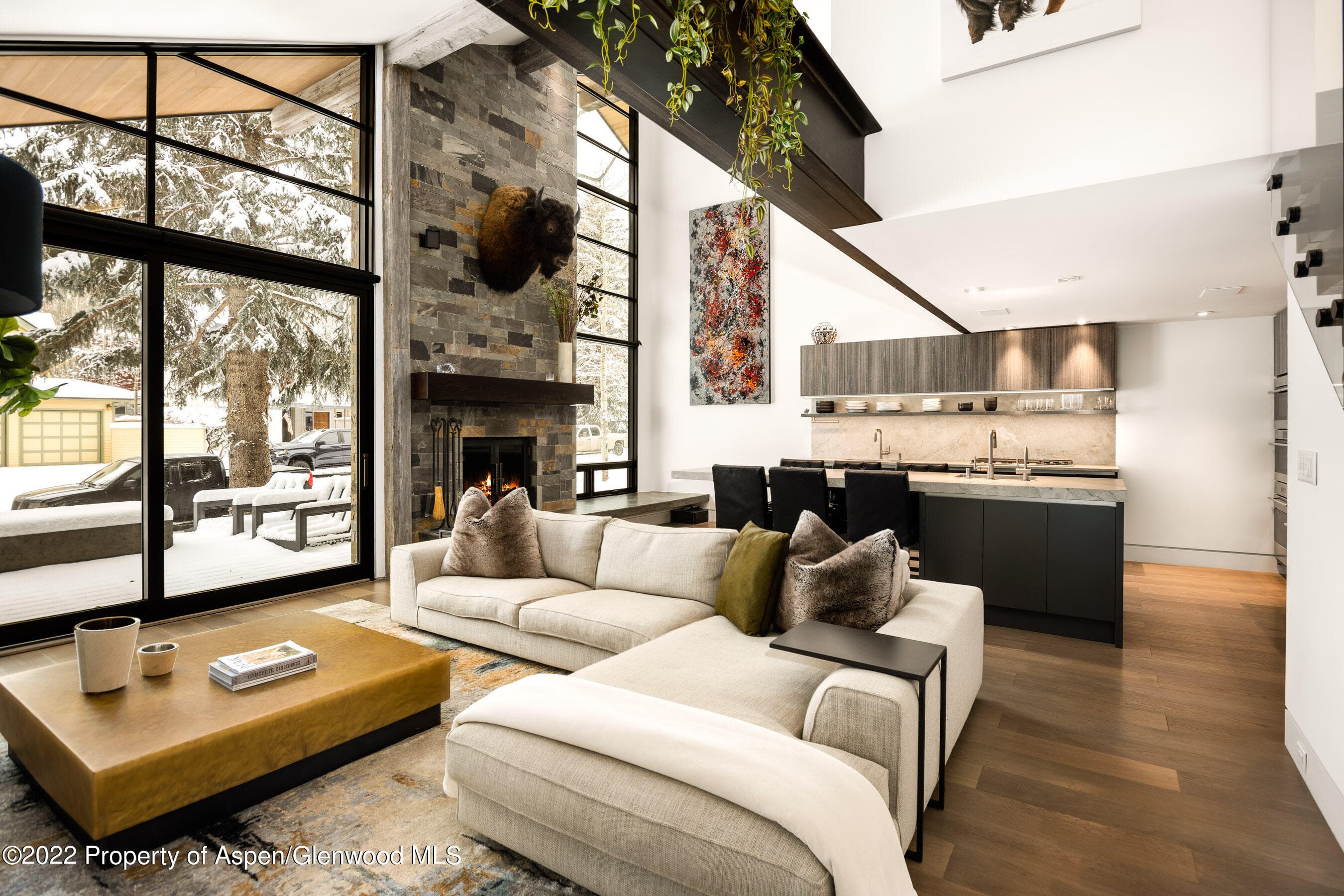 503 N Fourth Street, Aspen, CO 81611 - Photo 1