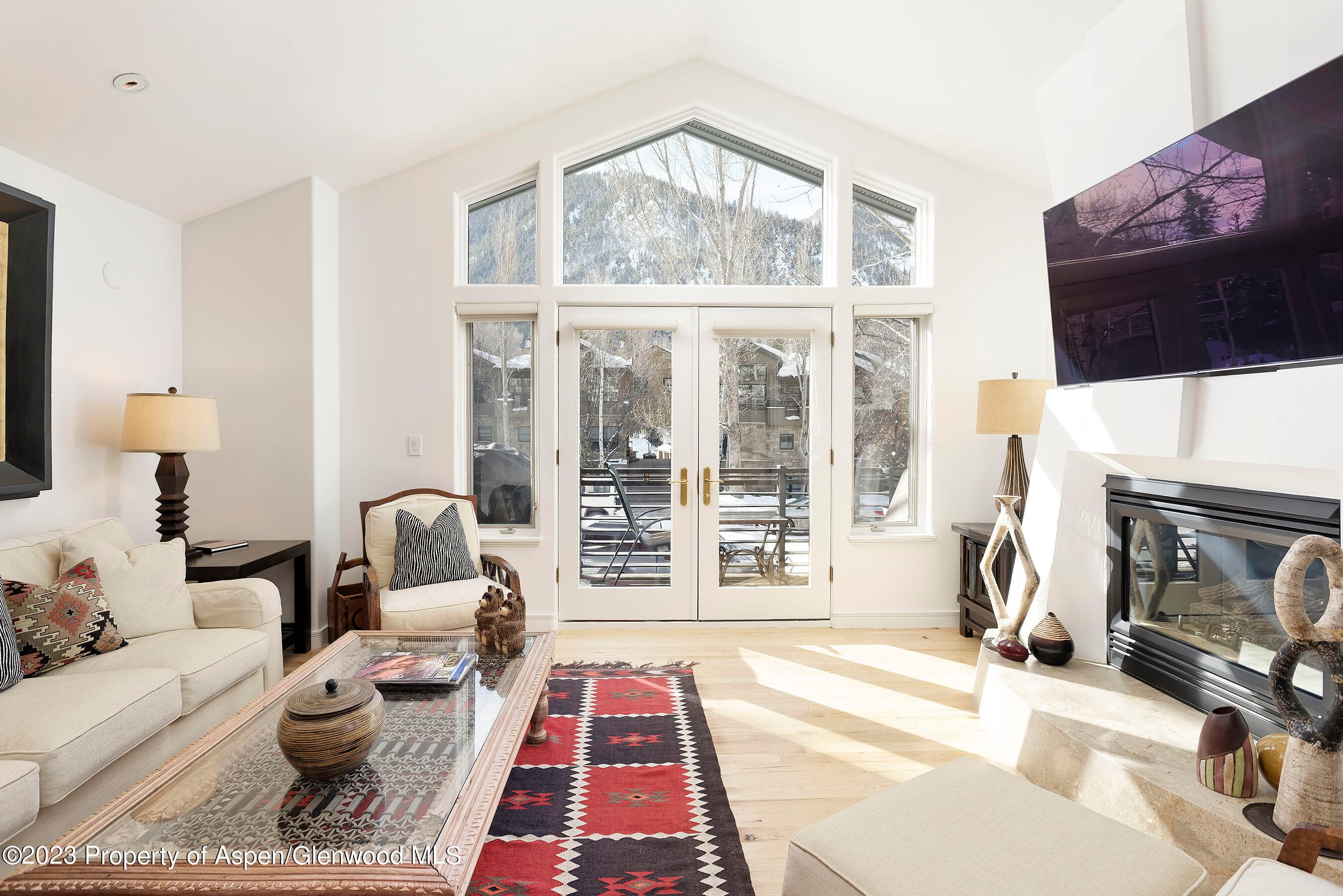 926 E Durant Avenue Unit 3, Aspen, CO 81611 - Photo 1