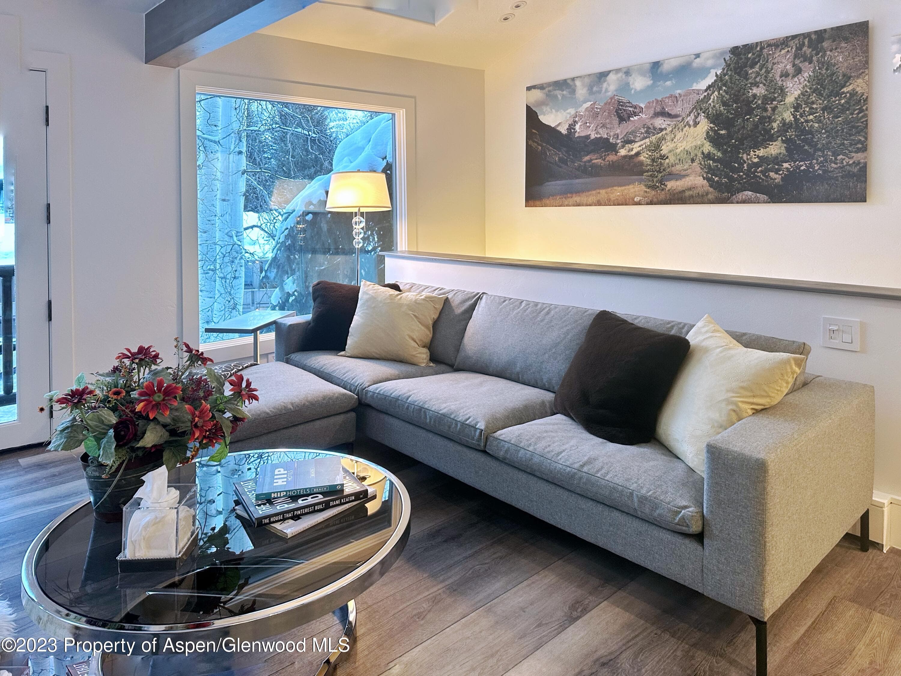 107 Aspen Mountain Road 5, Aspen, CO 81611 - Photo 1